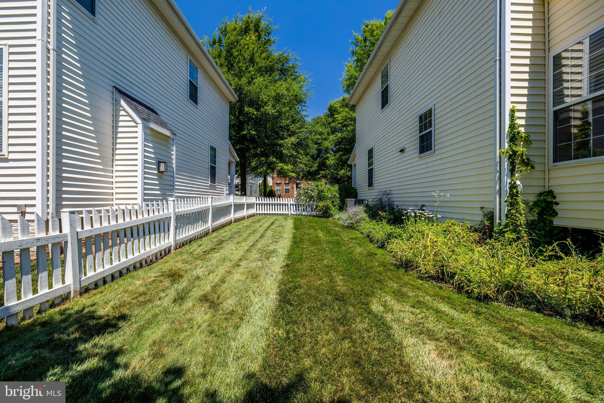 BELMONT GREENE - Residential