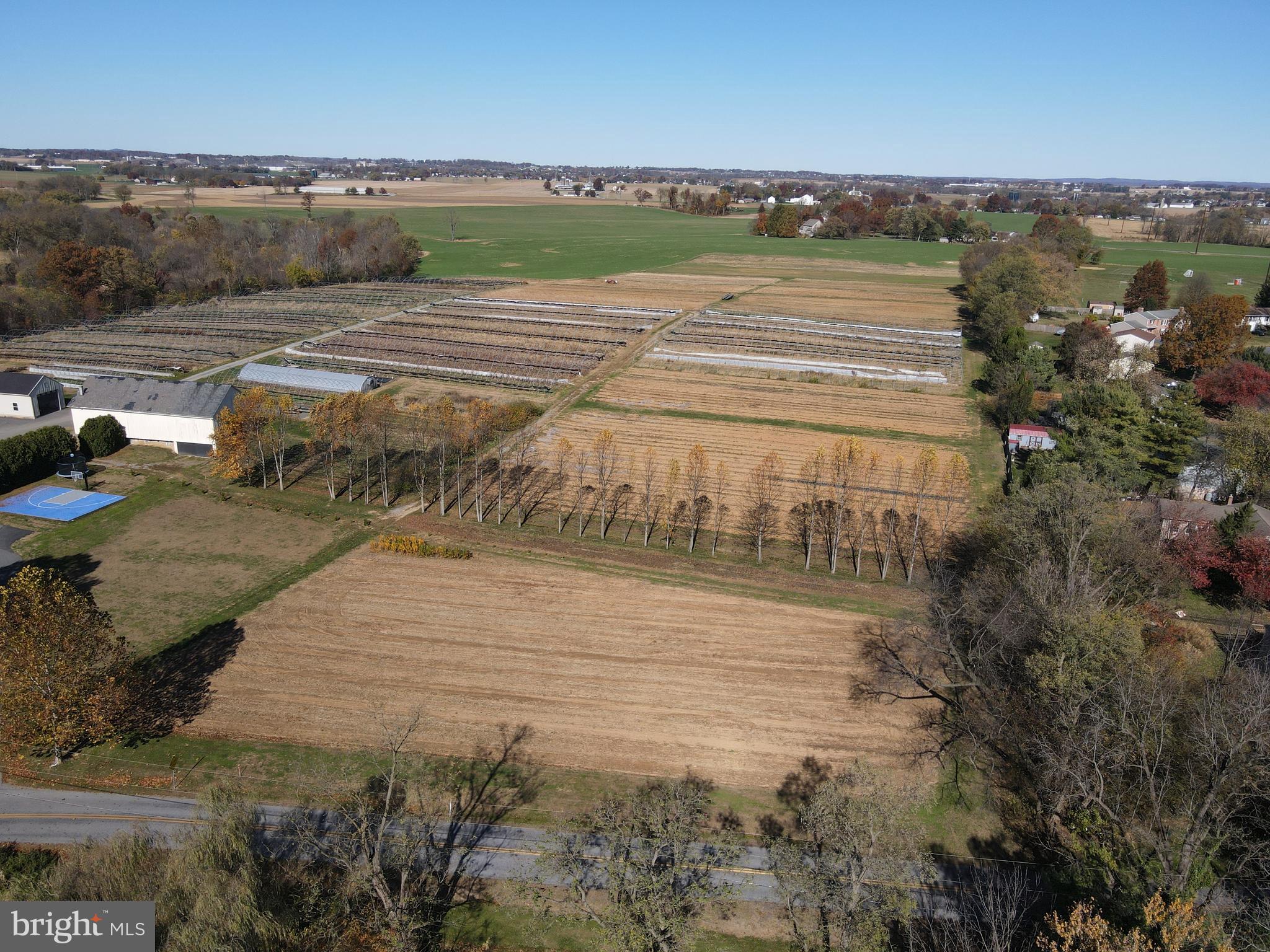 NONE AVAILABLE - Farm