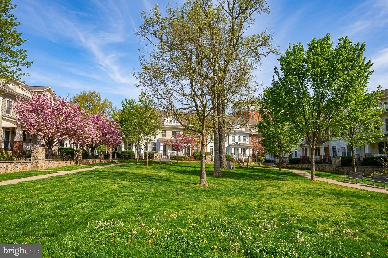 CLARENDON PARK - Residential