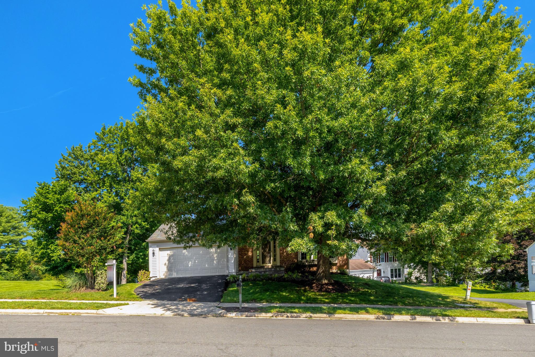 DRANESVILLE ESTATES - Residential