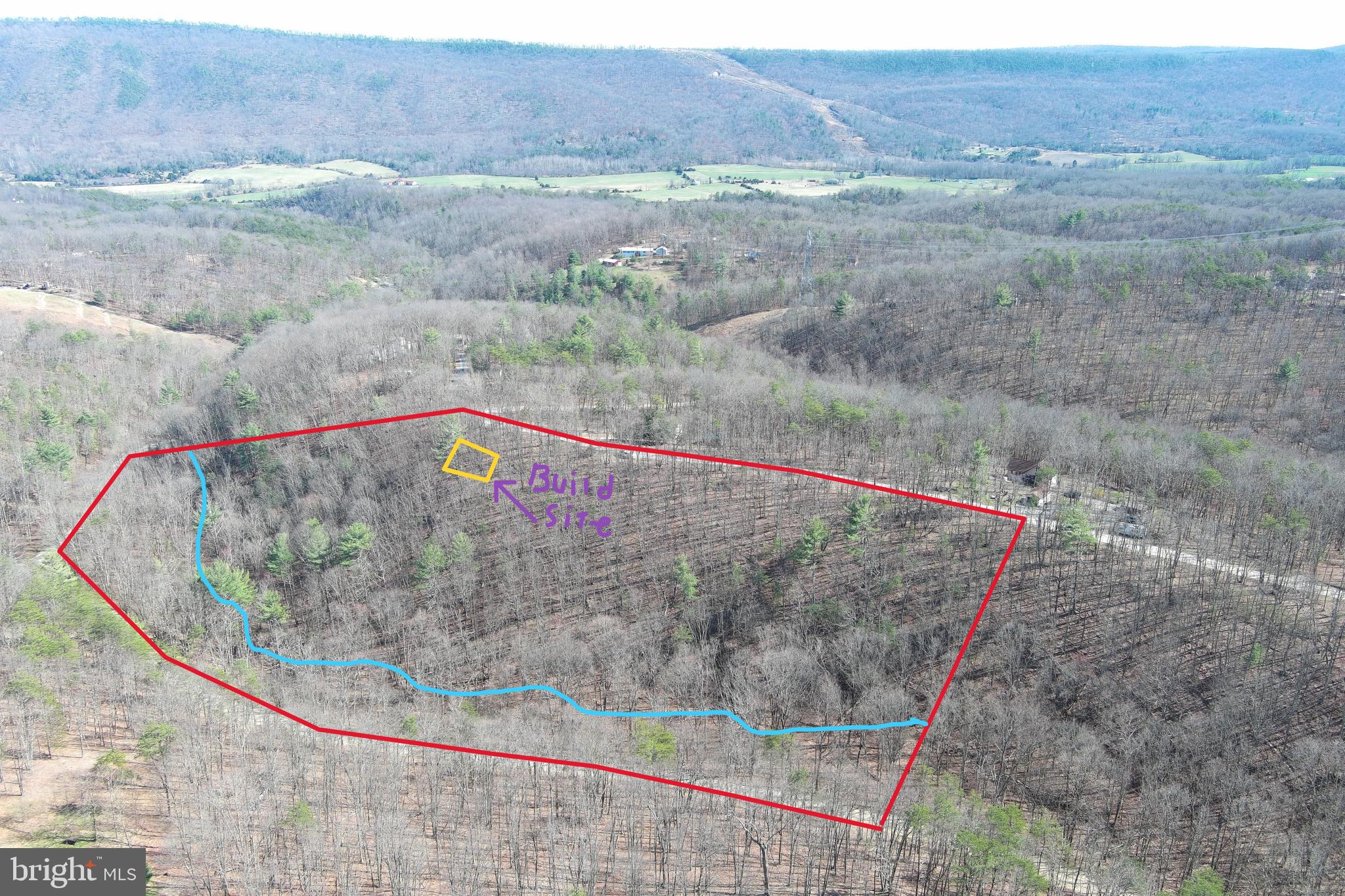BOX CHECKER.....9 WOODED ACRES WITH A LITTLE BIT OF EVERYTHING.....EASY BUILDING SITE OFFERS A GREAT VIEW OF SHORT MOUNTAIN WILDLIFE MANAGEMENT AREA(8000 acres of public hunting & hiking) SAVE BIG ON INFRASTRUCTURE COSTS, SHORT DRIVEWAY & SHORT PULL FOR ELECTRIC TO THE BUILD SITE.....NICE WET WEATHER STREAM IN THE HOLLOW WITH TONS OF DEER SIGN, GREAT LOT FOR BOW HUNTERS.....PRIVATE COMMUNITY ACCESS TO THE 8000 ACRES OF HUNTING LAND. GREAT TREES.....MATURE HARDWOODS & WHITE PINES. YOU CAN CAMP ON THIS LOT 90 DAYS PER YEAR AND THE SQ FOOTAGE MINIMUM FOR A DWELLING IS ONLY 576 SQ FT. EASY ACCESS, ONLY 1/2 MILE OFF THE PAVED ROAD.....40 MINUTES WEST OF WINCHESTER, VA & 2 HOURS FROM DC. HANDS DOWN THE BEST DEAL IN THE AREA FOR SOMETHING AROUND 10 ACRES.....MAKE THE CALL, MAKE THE DRIVE & LETS MAKE A DEAL!