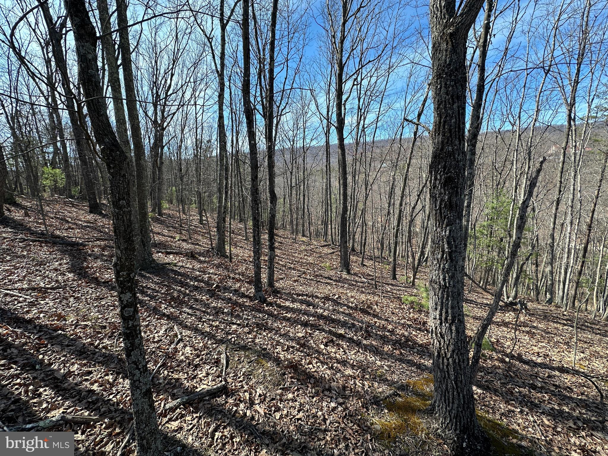 NORTH RIVER WILDERNESS - Land