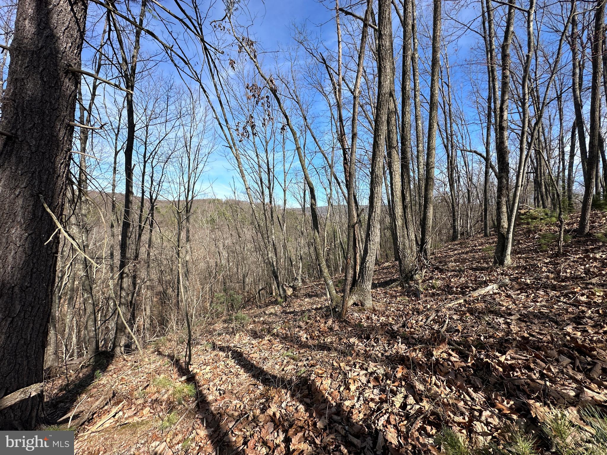 NORTH RIVER WILDERNESS - Land