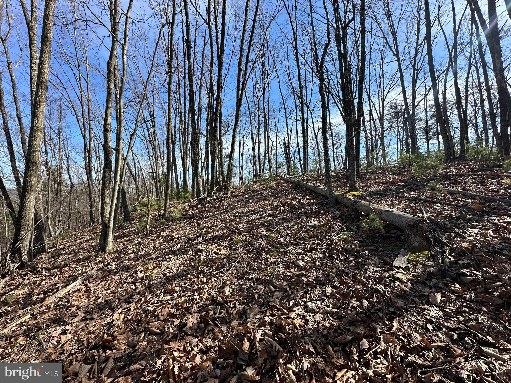NORTH RIVER WILDERNESS - Land