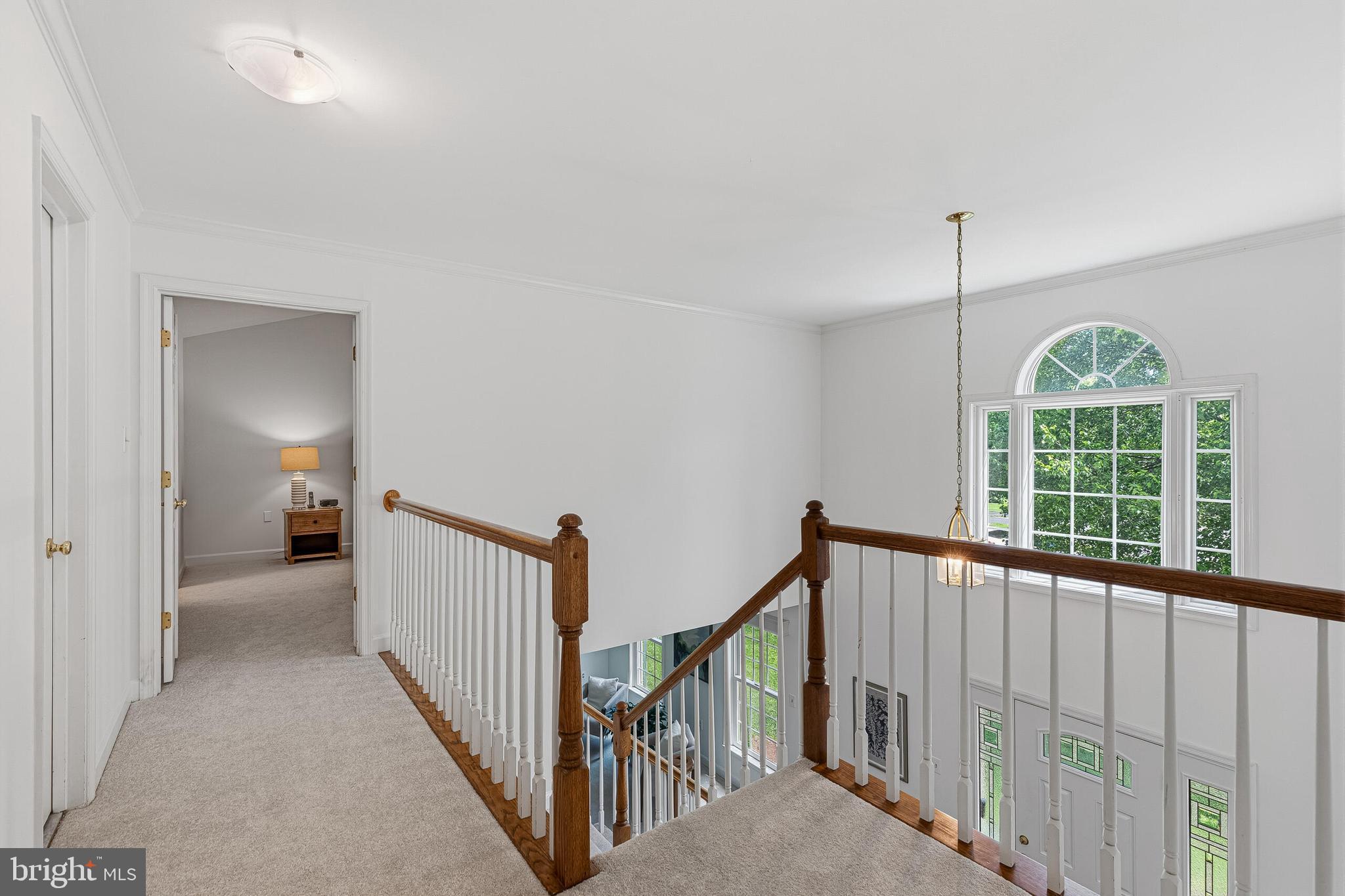 FLORIS DOWNS - Residential