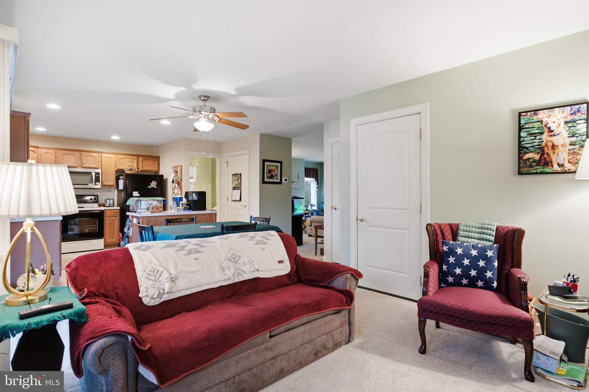 MOUNT JOY - Residential