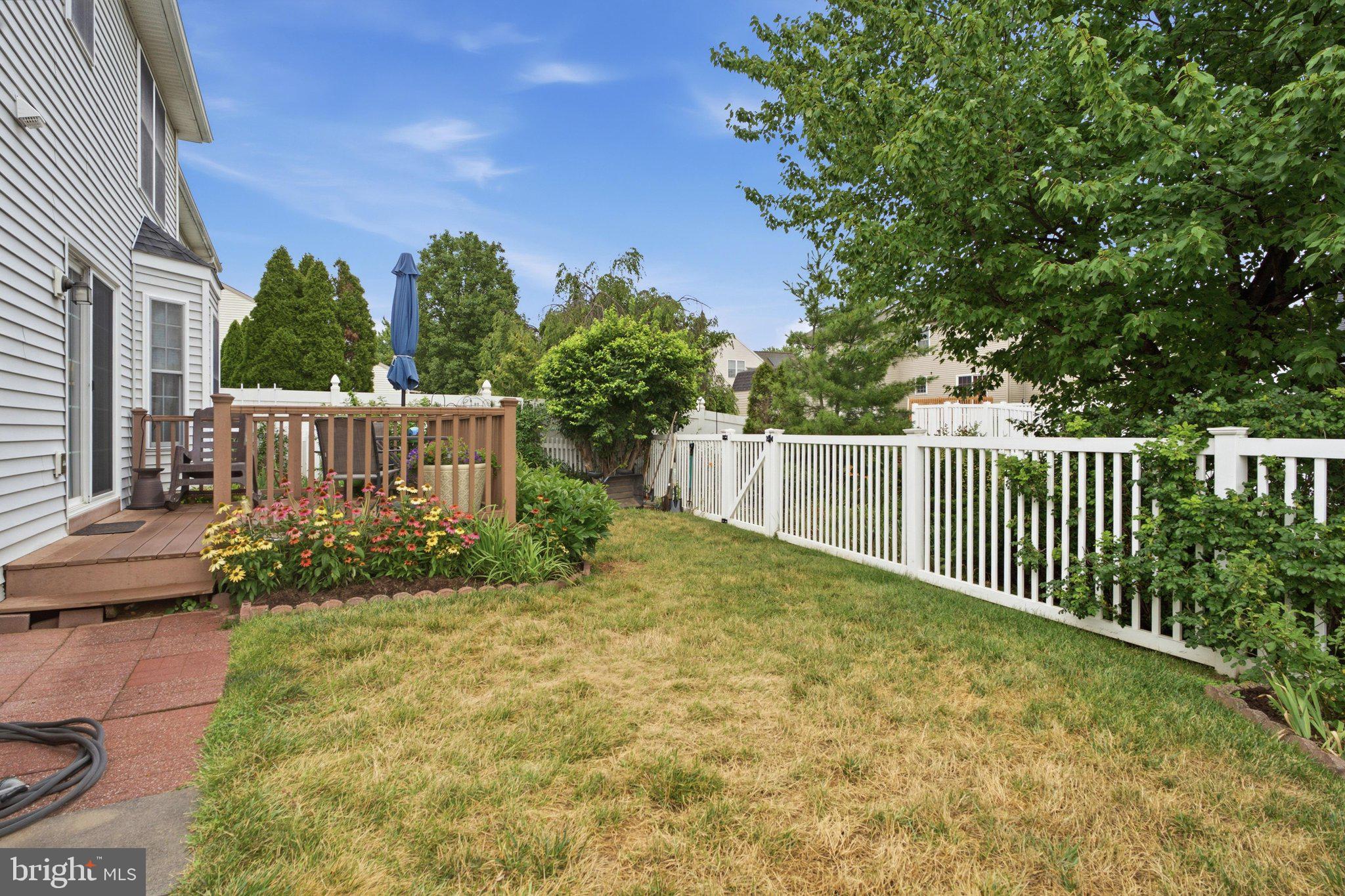 MOUNT JOY - Residential