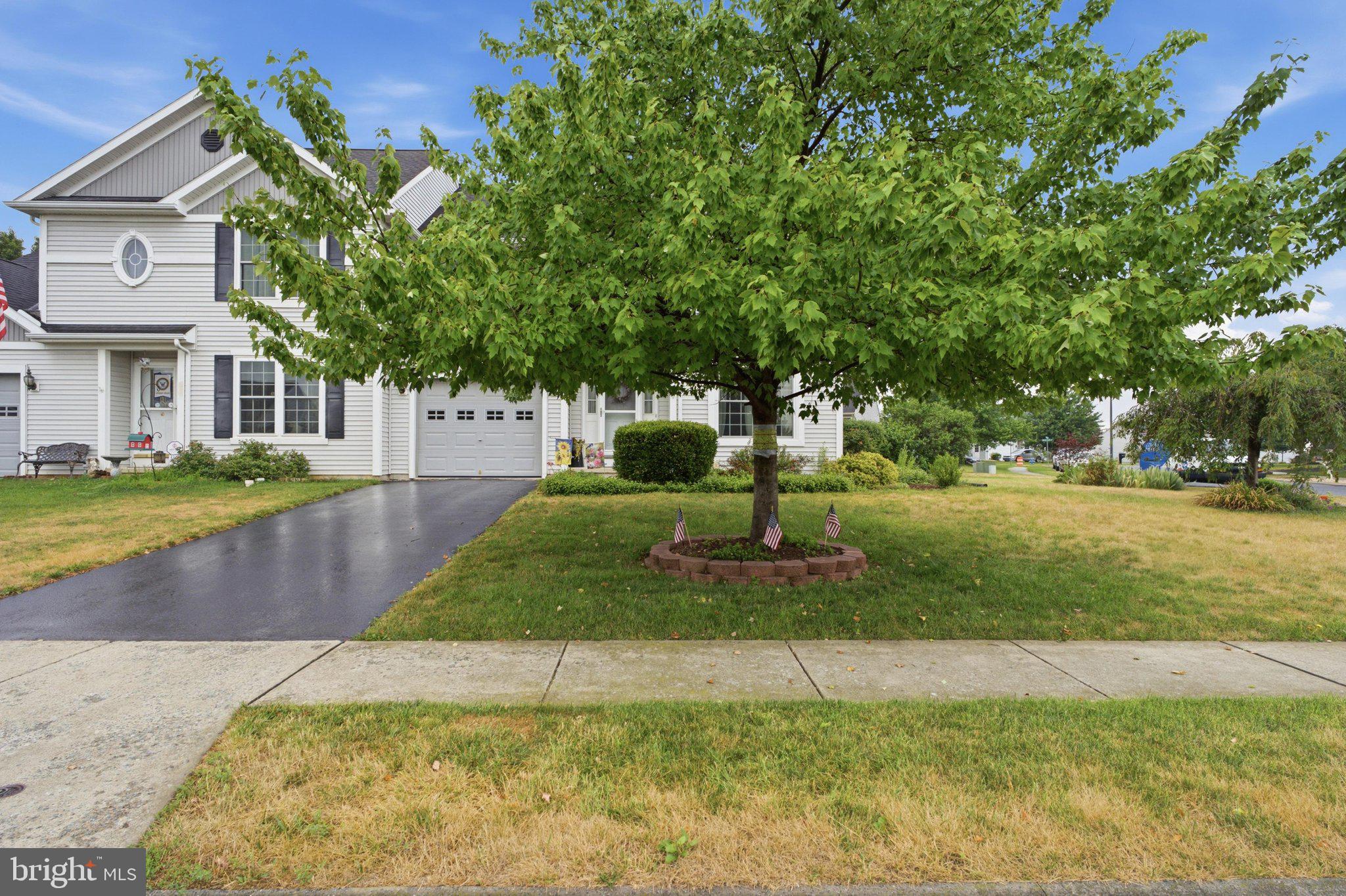 MOUNT JOY - Residential
