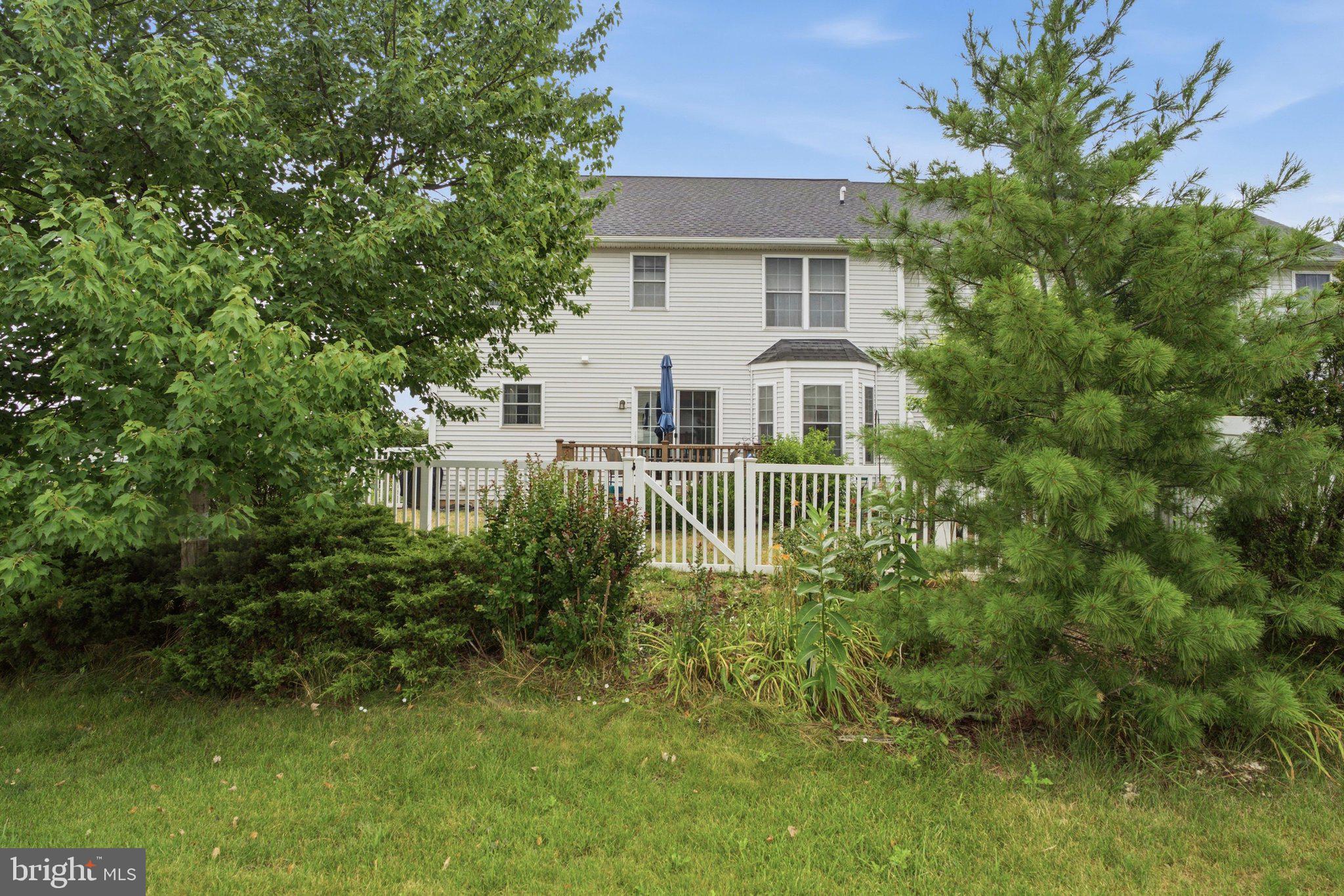 MOUNT JOY - Residential