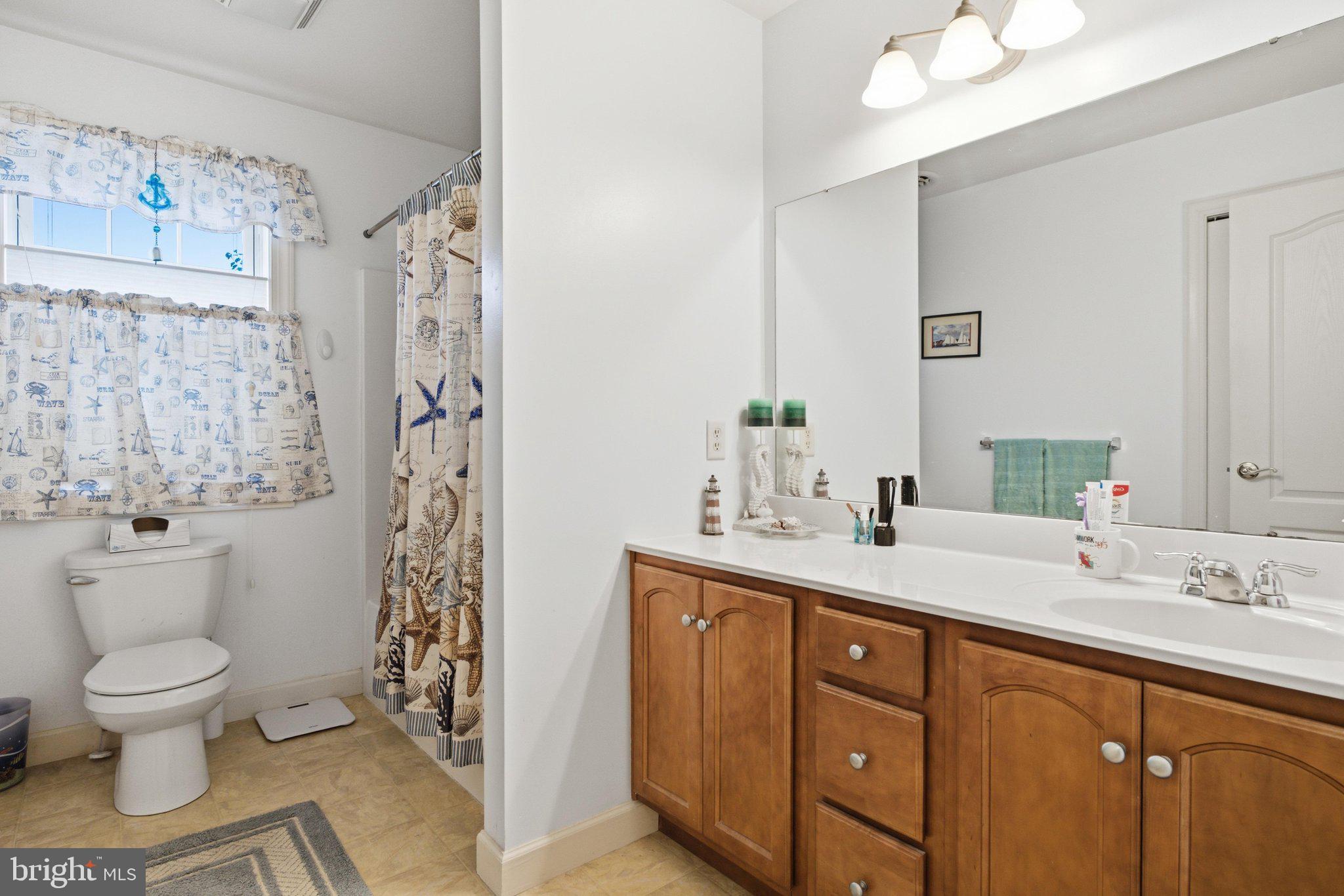 MOUNT JOY - Residential