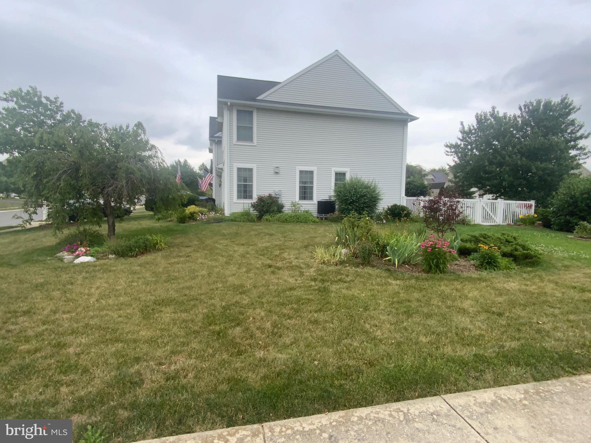 MOUNT JOY - Residential