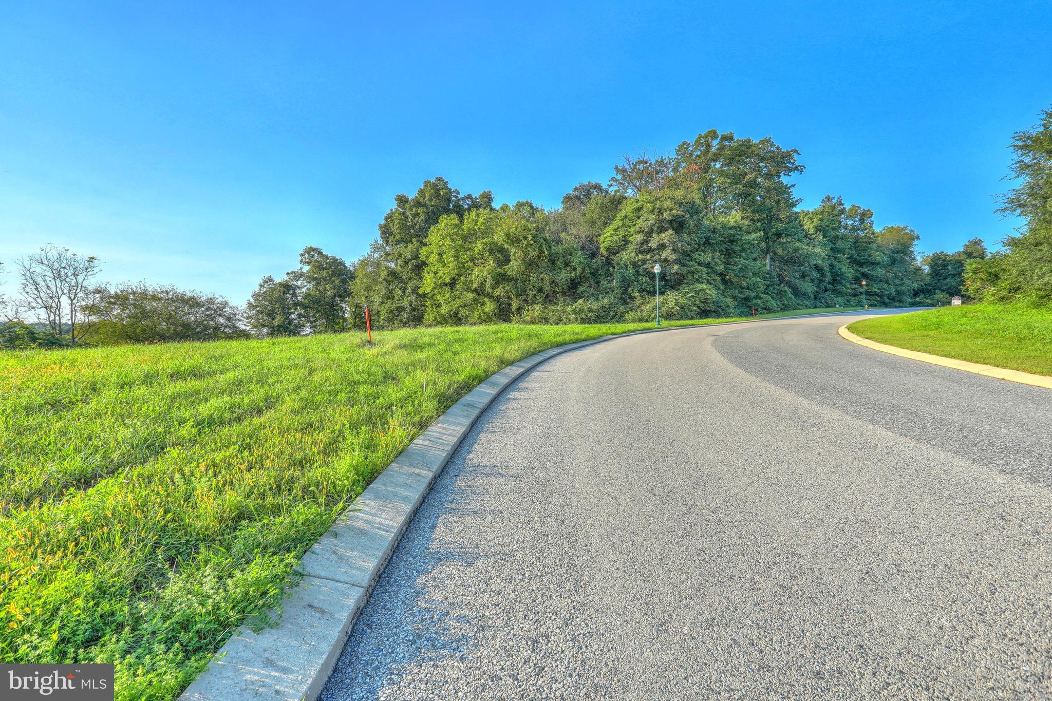 Great views on this ready to build lot in popular Spring Forge development. All public utilities.  Sidewalks and lantern style street lights. Excellent location. Beautiful curved streets. Owner financing available. $500 HOA fee due at settlement.