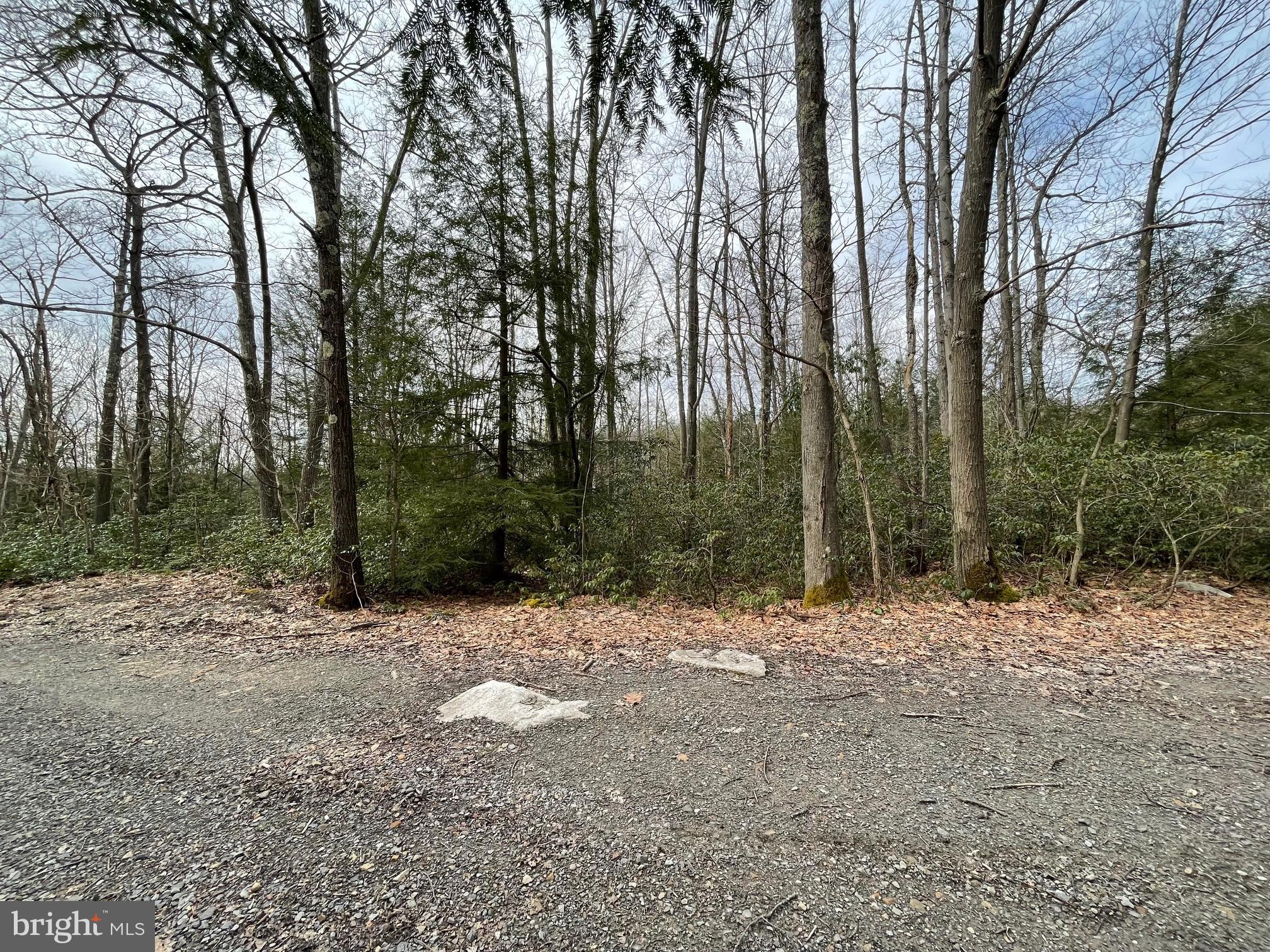Beautiful corner lot on just over a half acre in Youghiogheny Mountain Resort!  Enjoy access to miles of trails for ATV and snowmobile riding. You will also have access to the Youghiogheny River  and Muddy Creek for excellent fishing. Very close to Swallow Falls and Herrington Manor state parks for even more outdoor fun!  Call today for more details!