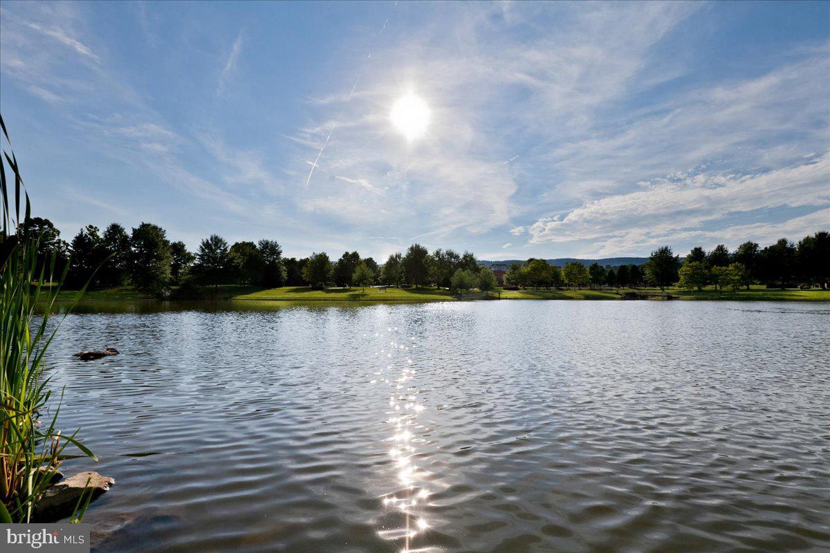 WHITTIER POND - Residential
