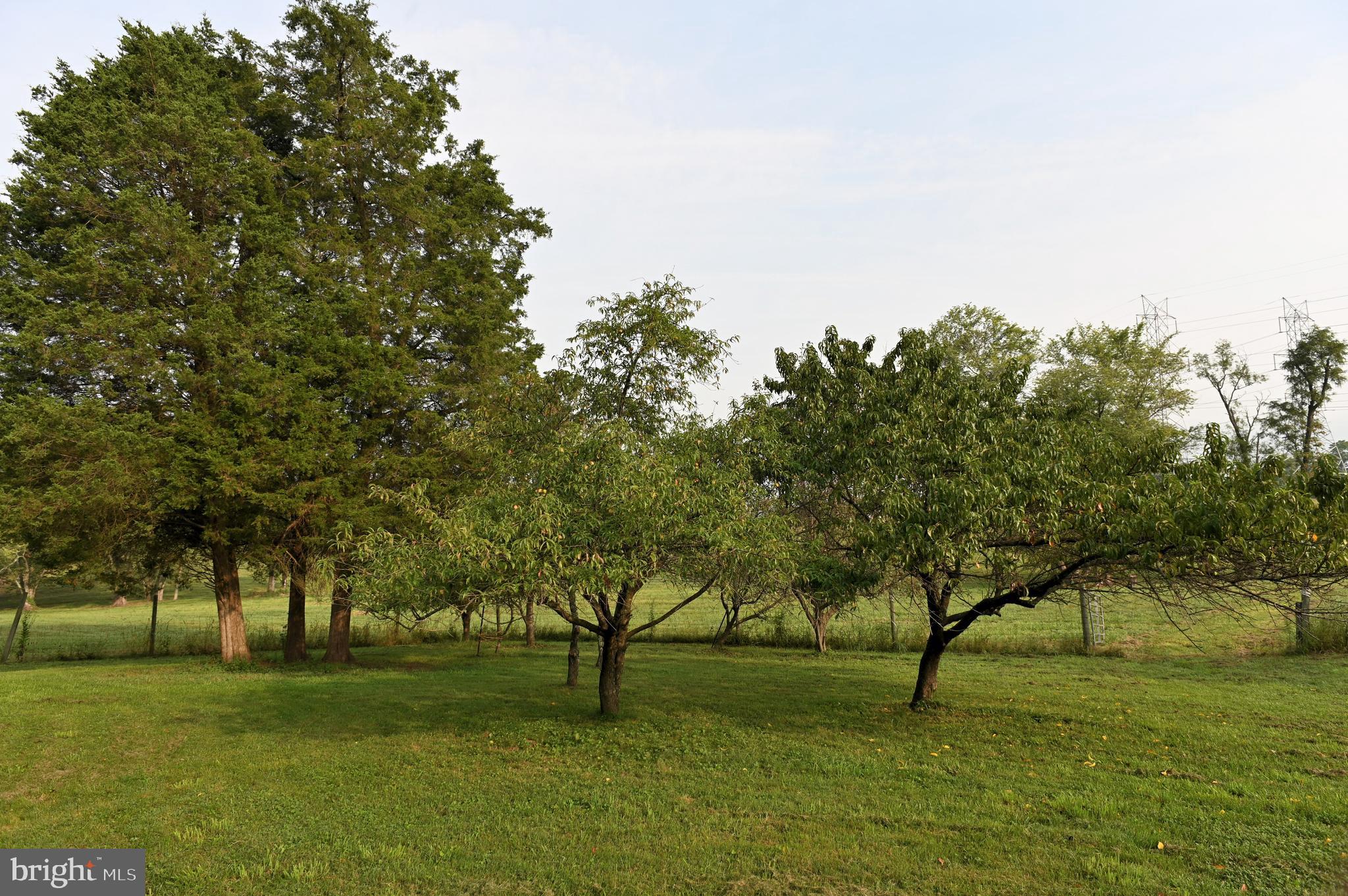 BARNESVILLE OUTSIDE - Residential
