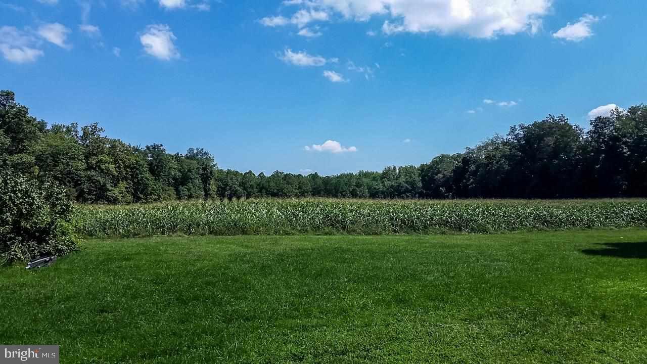18 acres of prime South Middleton agricultural land with creek frontage on the Yellow Breeches and the Mill Run cutting across the land. Nice level land for crops, recreation, and a home site. Wildlife abounds. Adjacent home on .67 acres for sale for $142,500.  See MLS 10258298 for details.