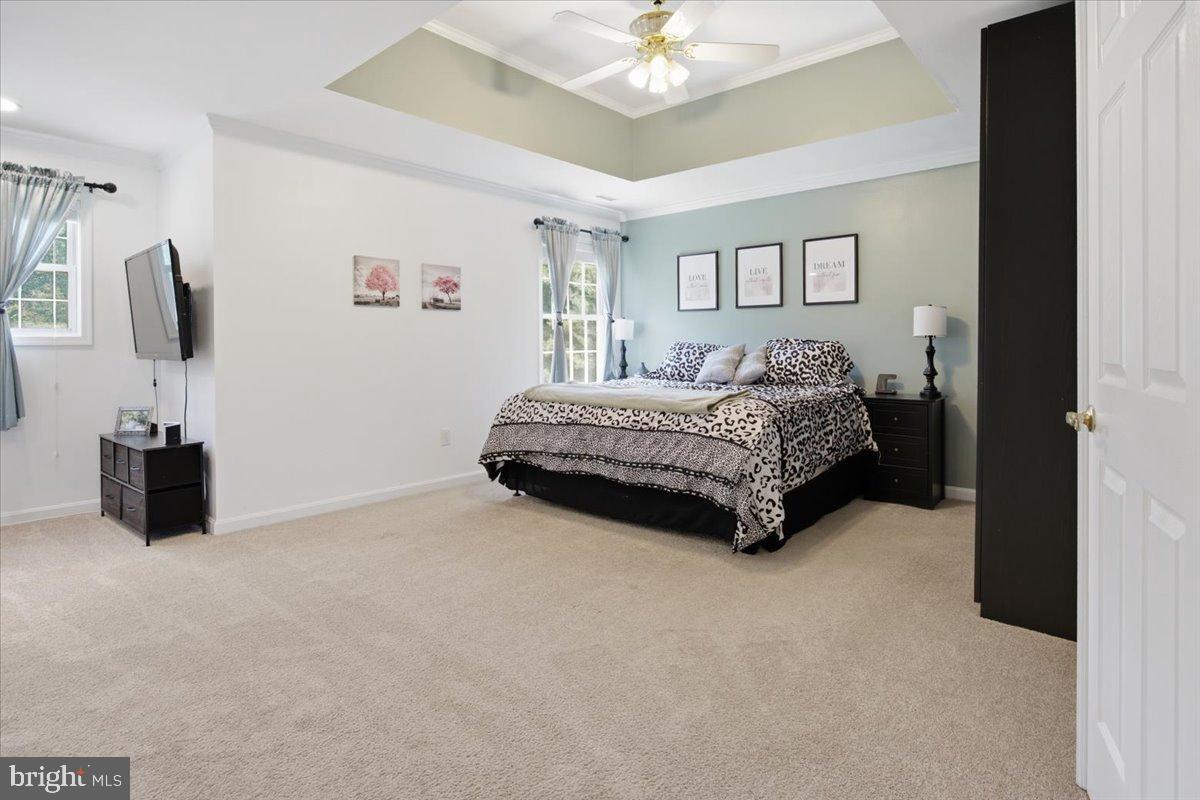 FOXCATCHER AT FAIRHILL - Residential