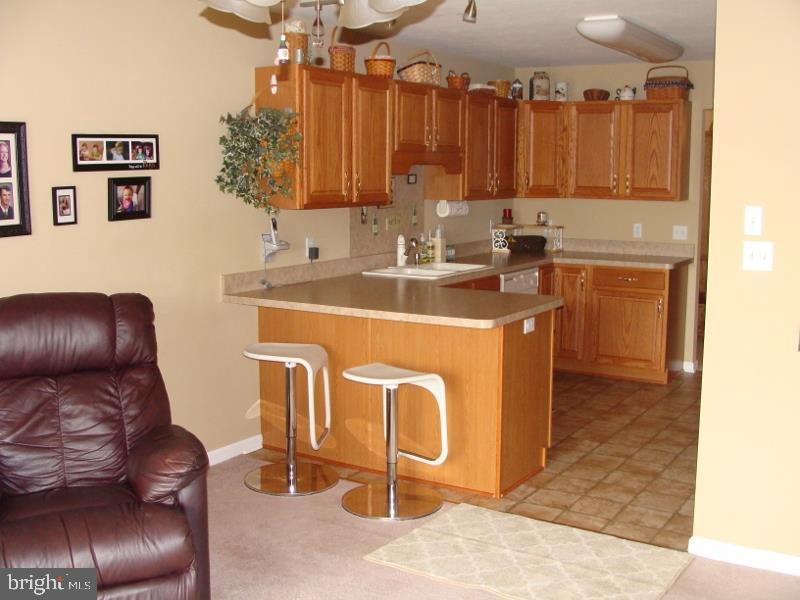 SWEET GUM - Residential