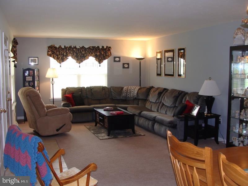 SWEET GUM - Residential