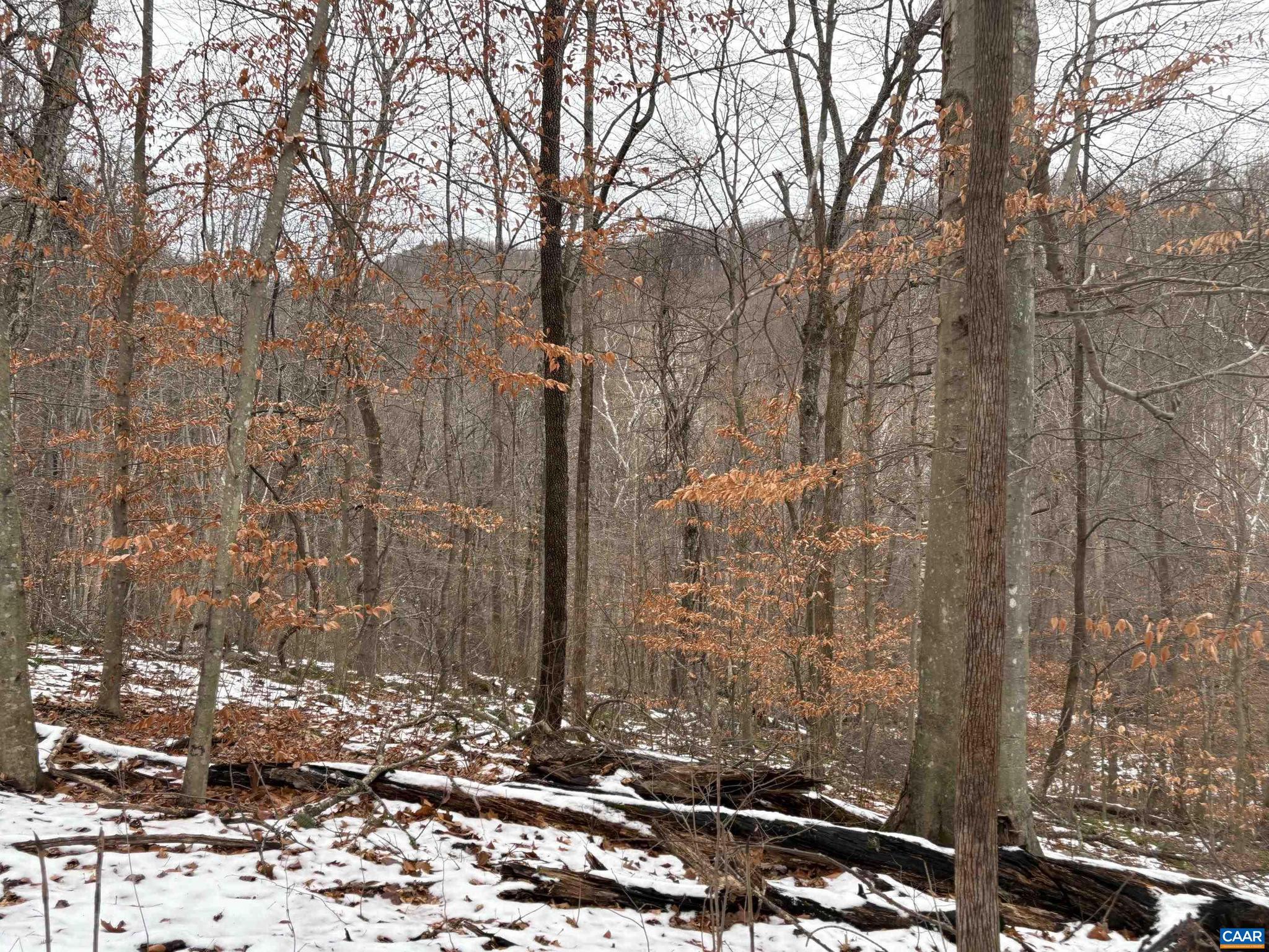 113.871 Surveyed acres, with remains of a former mountain house.  Zoned C-1 Conservation.  Property is in a Virginia Outdoor Foundation, Conservation Easement.  Entry Run, aka, Collects Run, a likely "native trout stream", is wholly within the subject property's boundary lines.  The property is located at the end of State Maintenance, Route 643.  Entry Run Trail is a public hiking trail linking Route 643 to the Shenandoah National Park, and crossing part of the subject property.  PATC\Potomac Appalachian Trail Club maintains the hiking trails to the Shenandoah National Park.