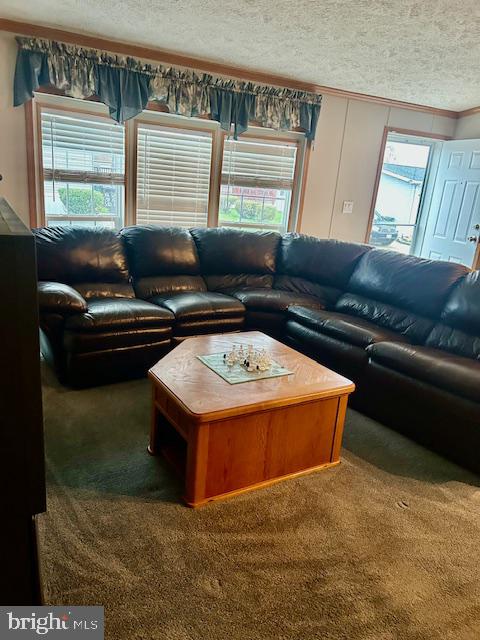 ESSEX/MIDDLE RIVER - Residential