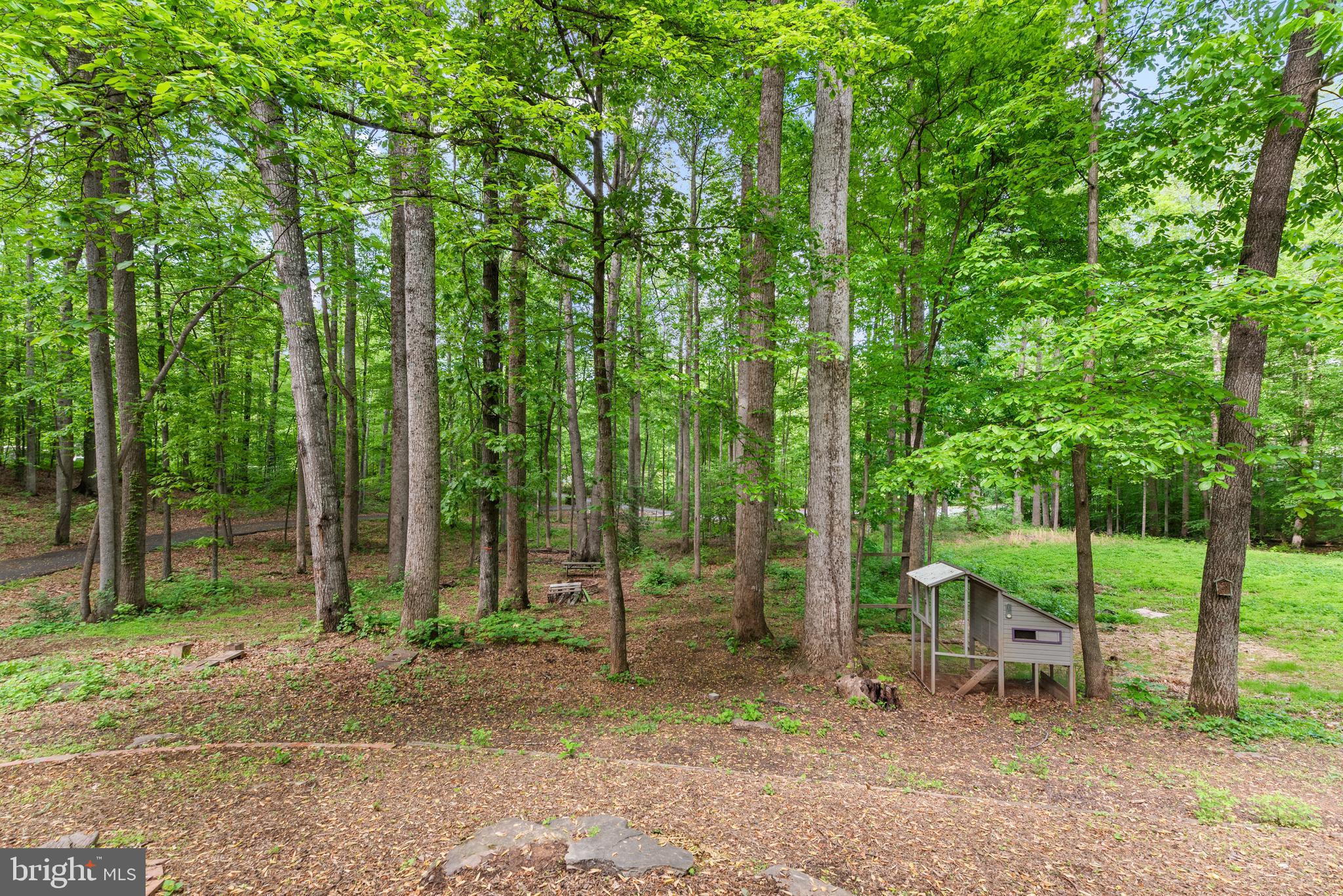WOODS OF SHENANDOAH - Residential