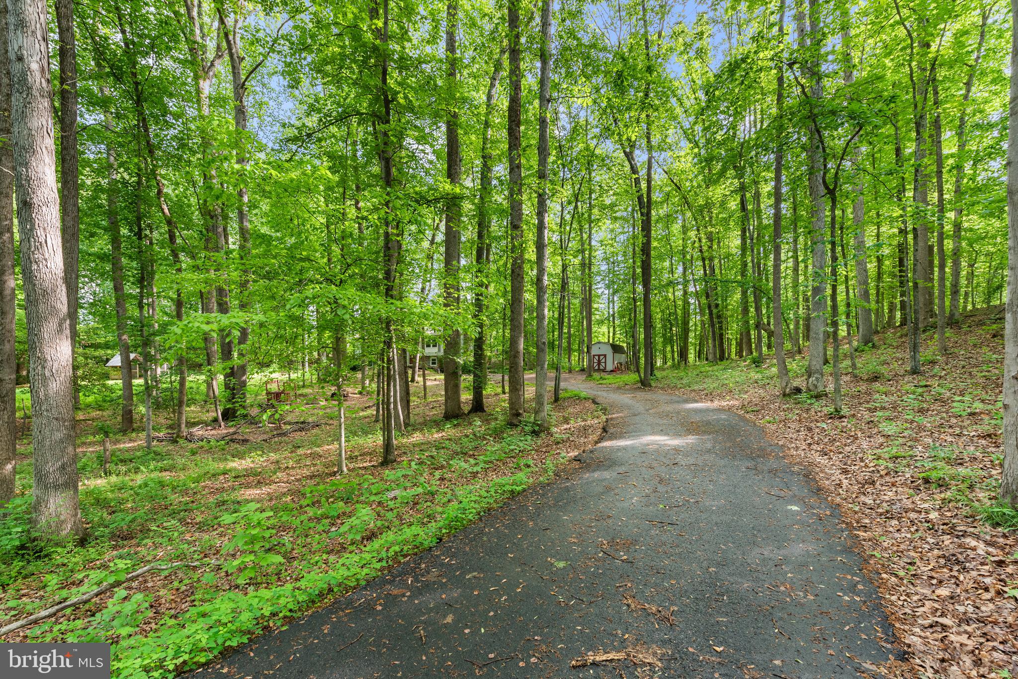 WOODS OF SHENANDOAH - Residential