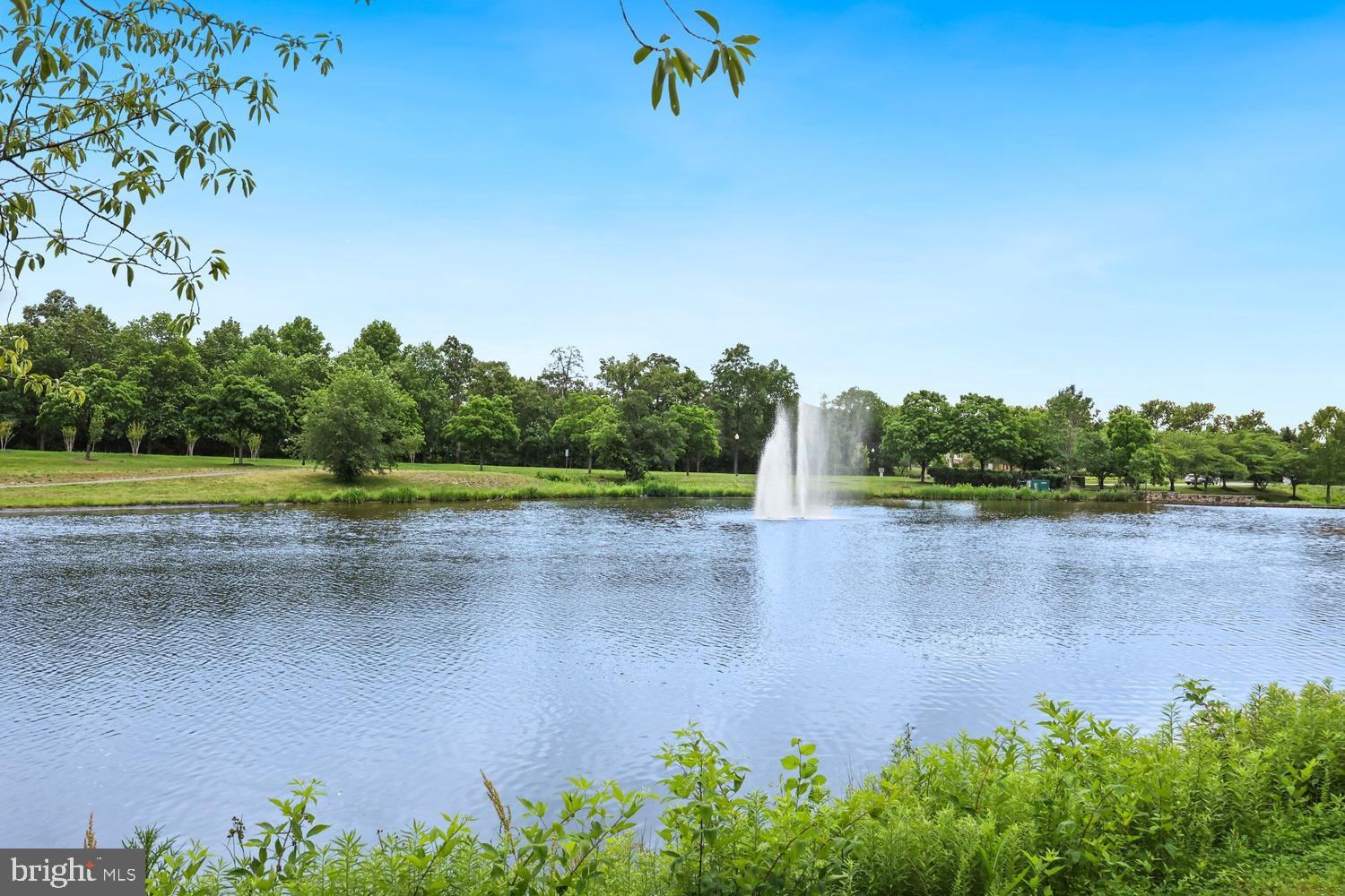 LAKESIDE AT SOUTH RIDING - Residential