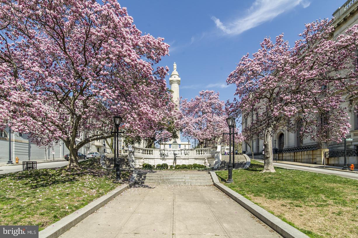 MOUNT VERNON - Residential