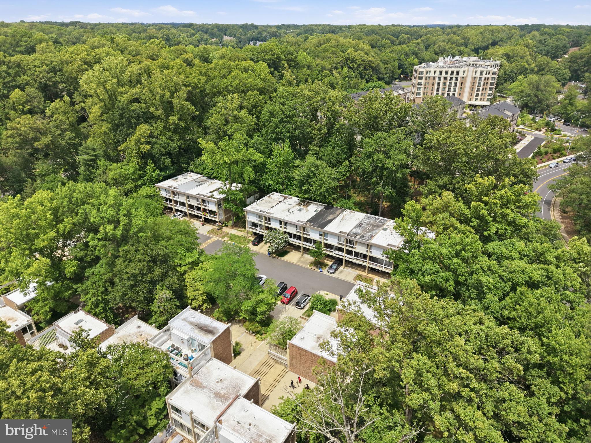 HICKORY CLUSTER - Residential