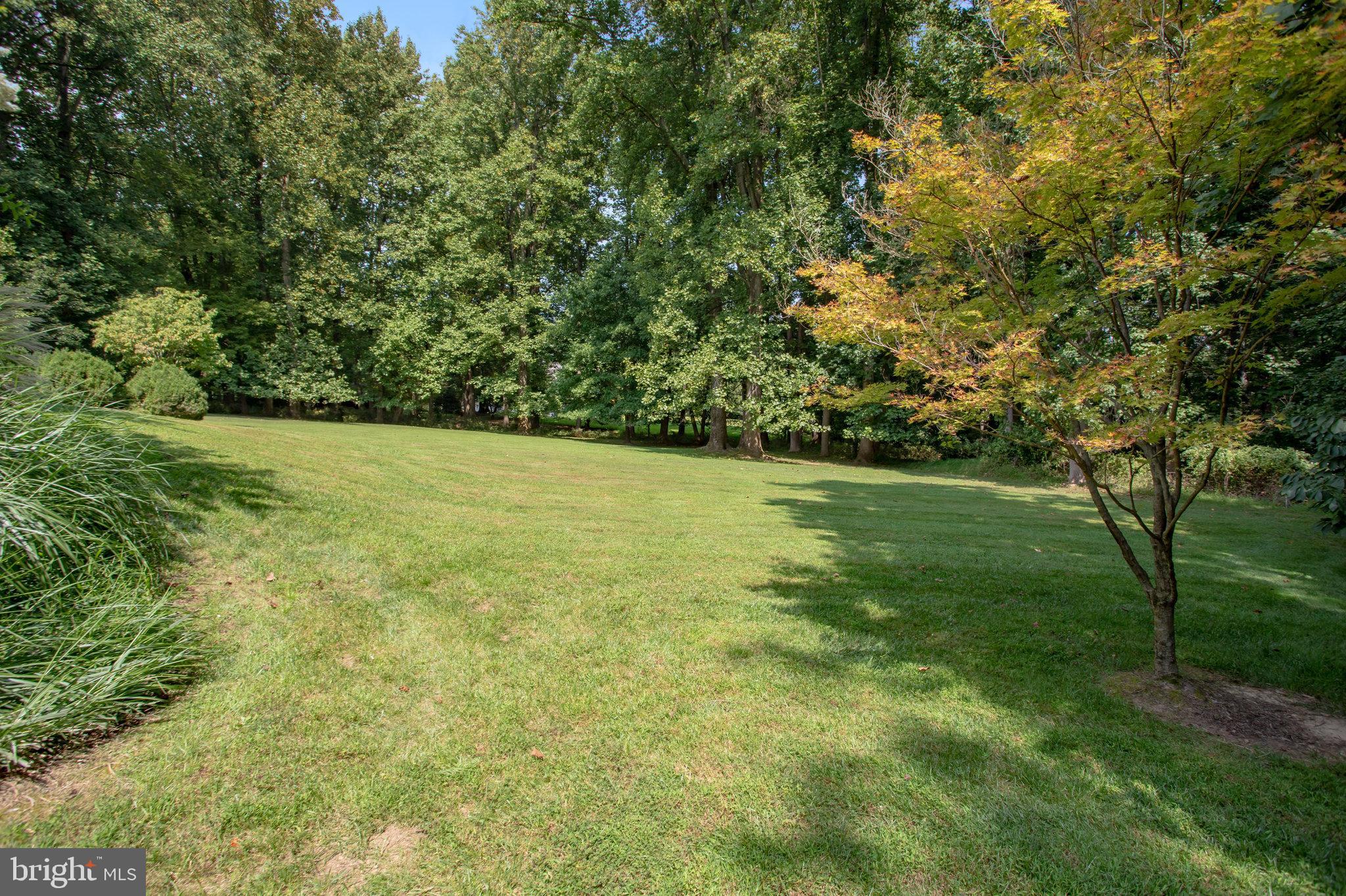 SPRINGVALE - Residential