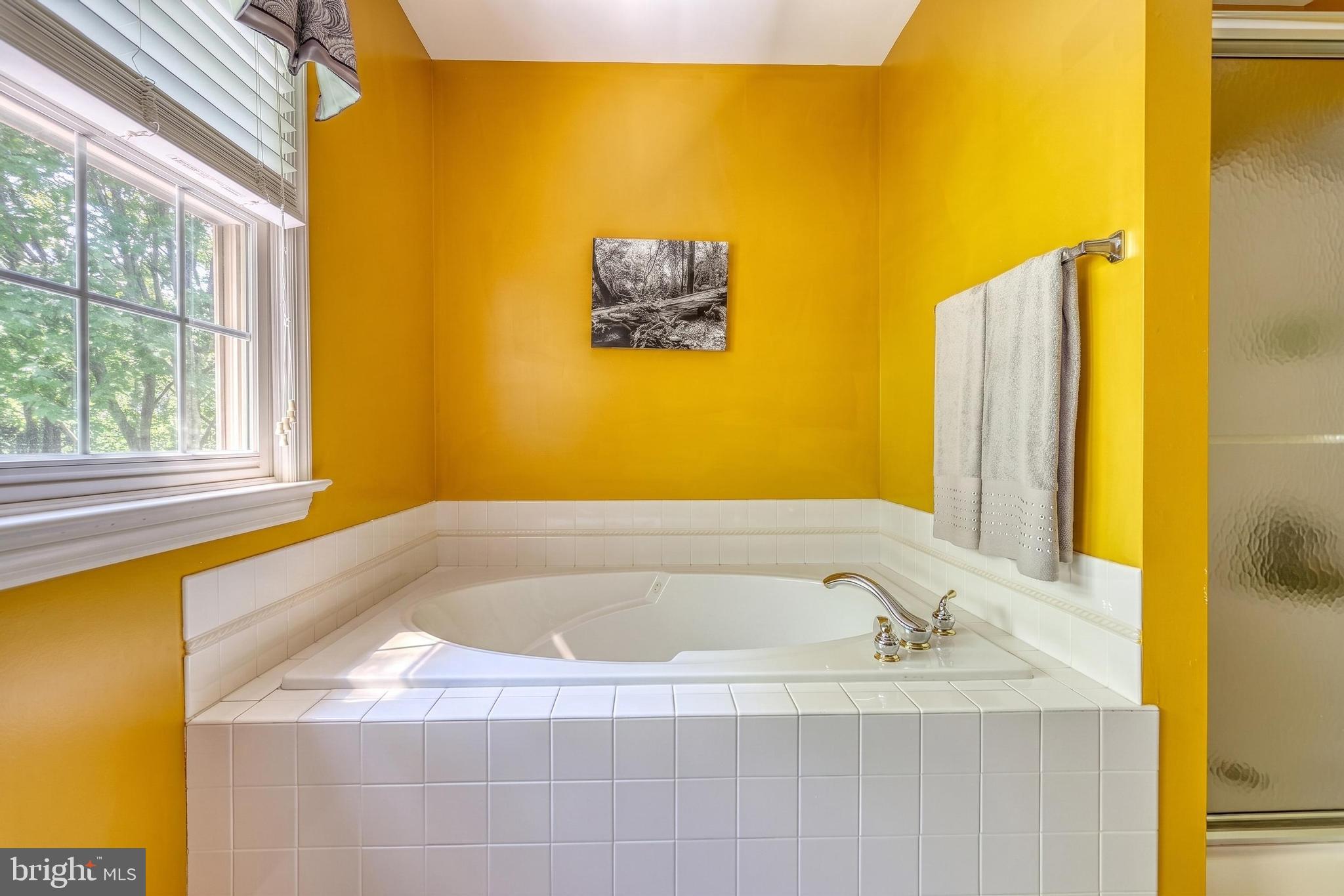 CHESTNUT RIDGE - Residential