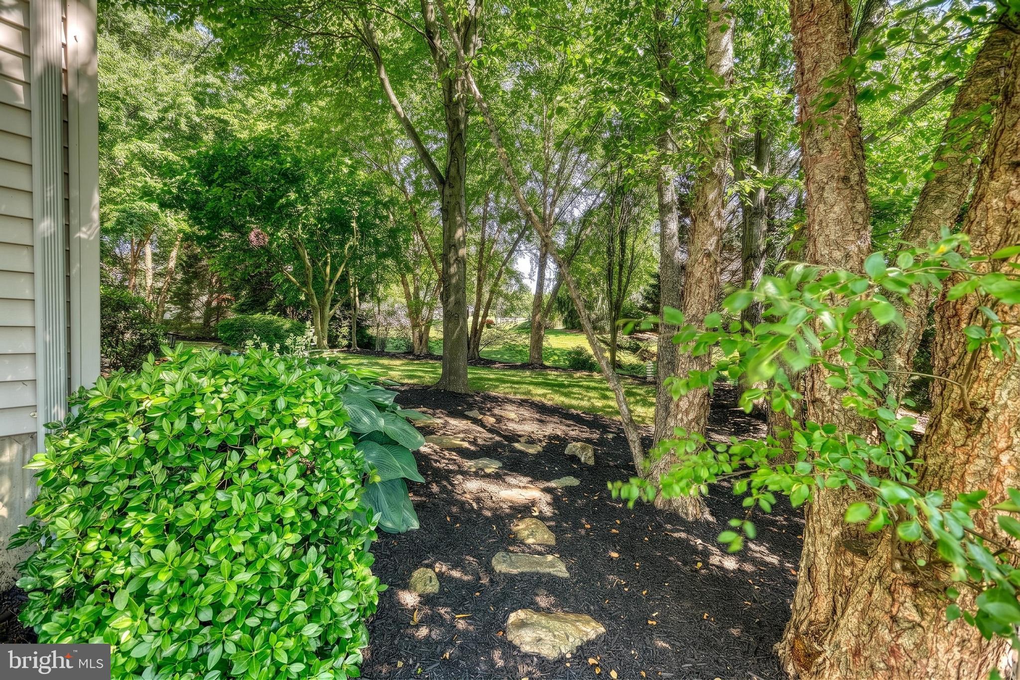 CHESTNUT RIDGE - Residential