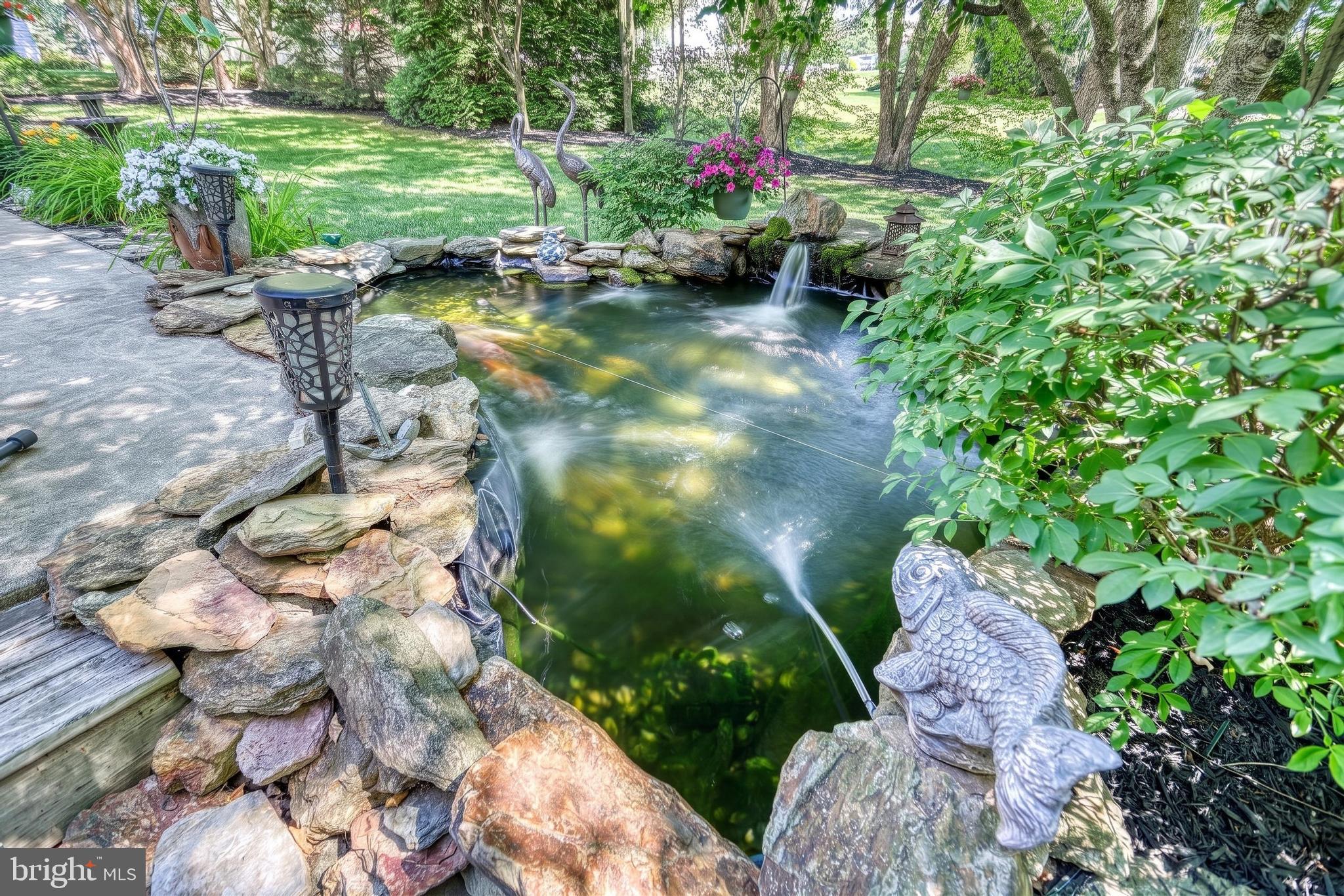 CHESTNUT RIDGE - Residential