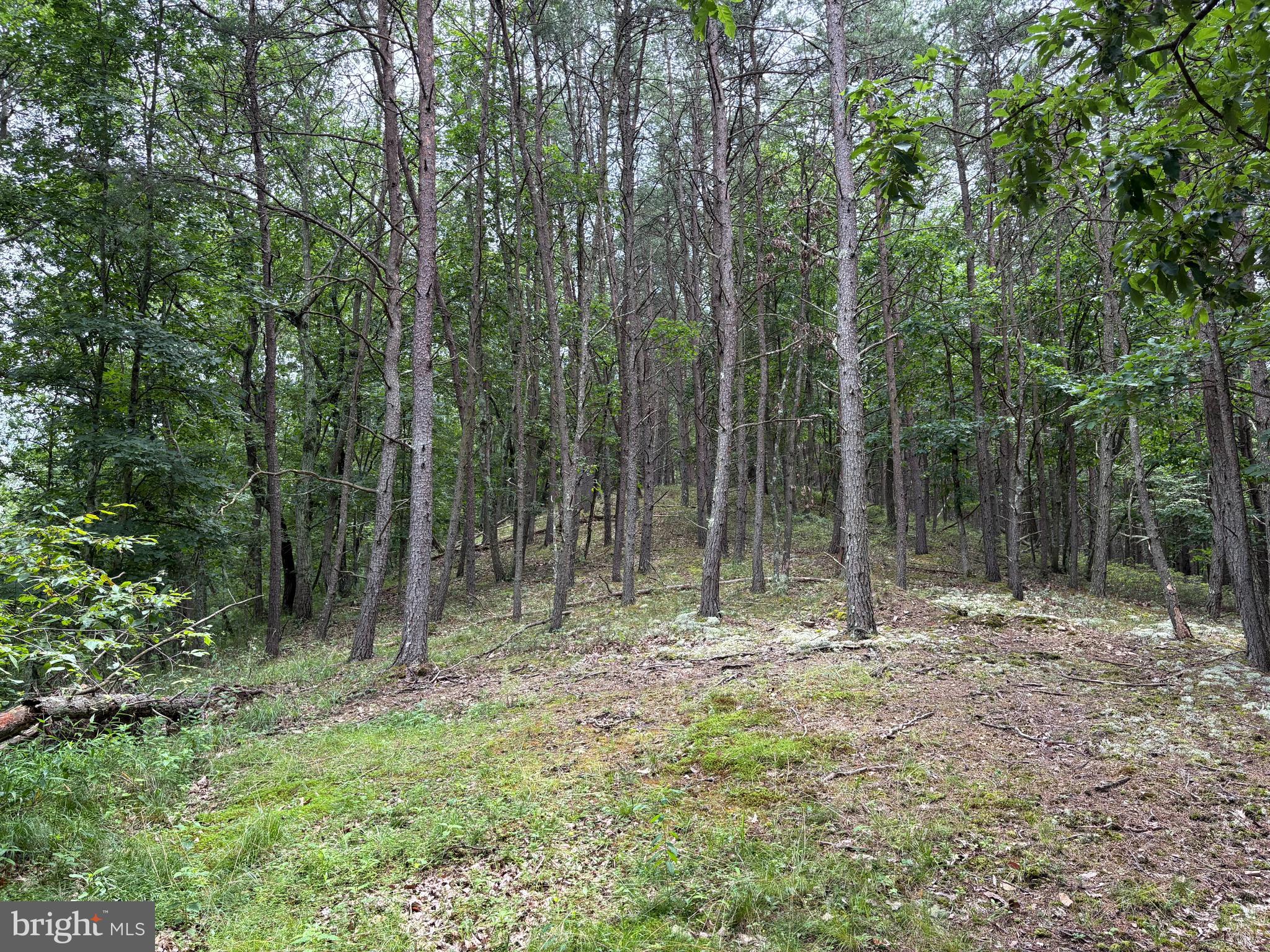 BLUFFS OF THE POTOMAC - Land