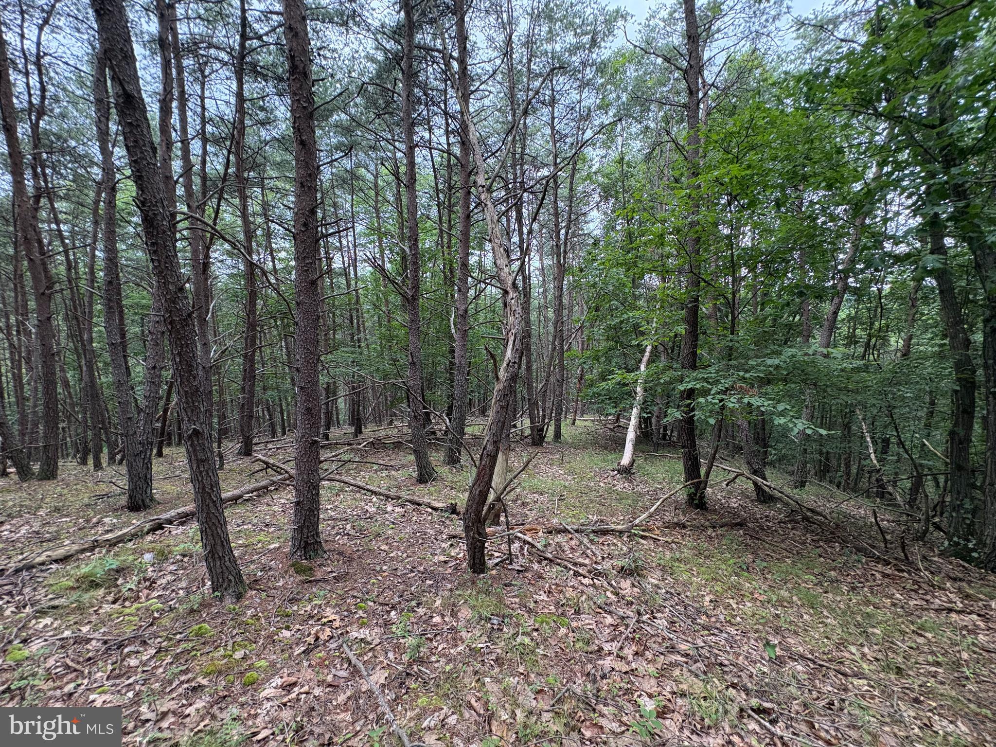BLUFFS OF THE POTOMAC - Land