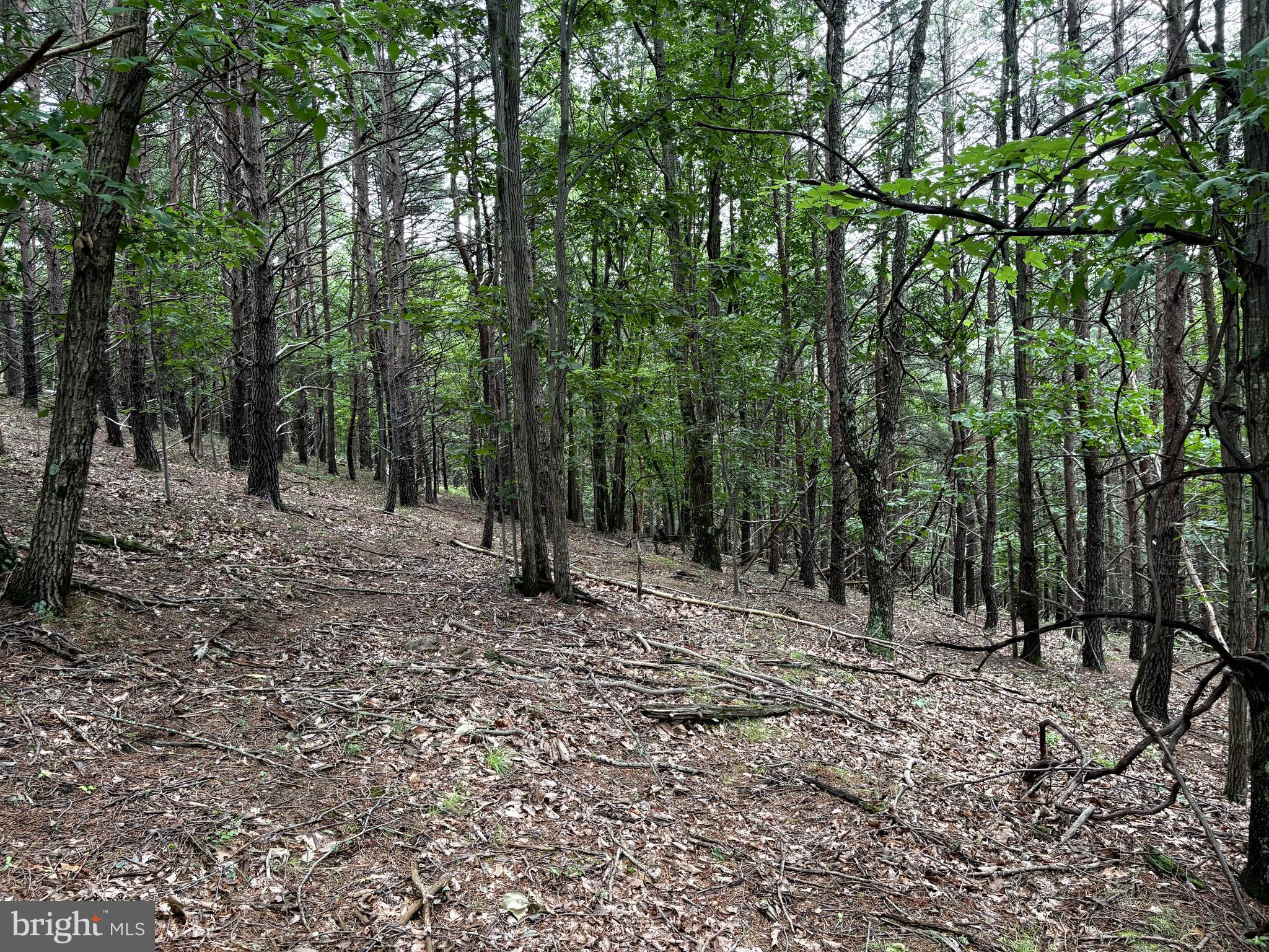 BLUFFS OF THE POTOMAC - Land