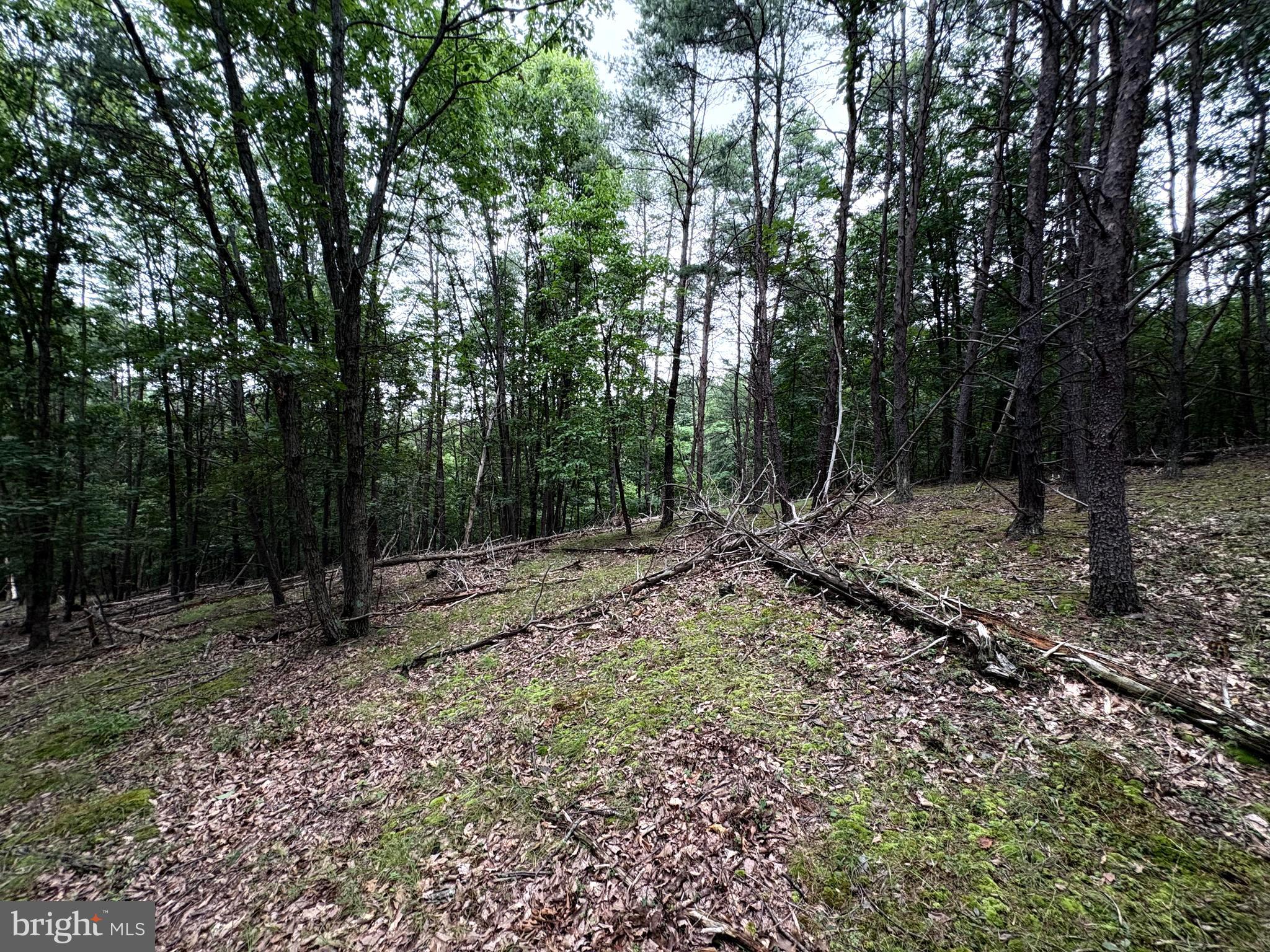 BLUFFS OF THE POTOMAC - Land