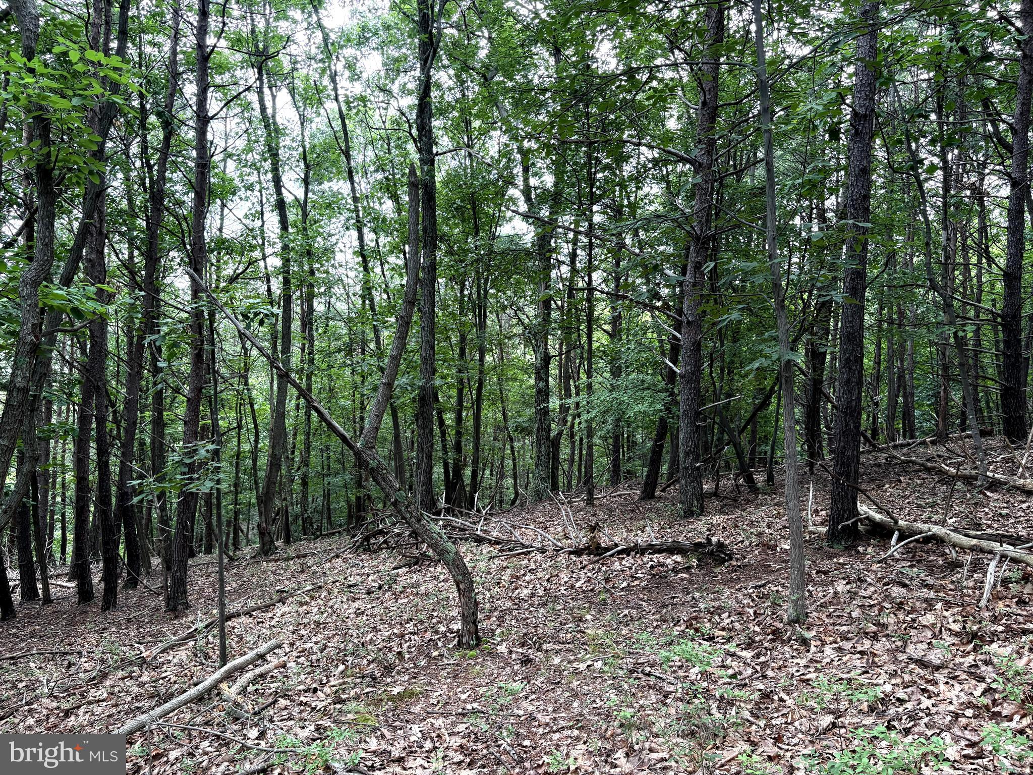 BLUFFS OF THE POTOMAC - Land