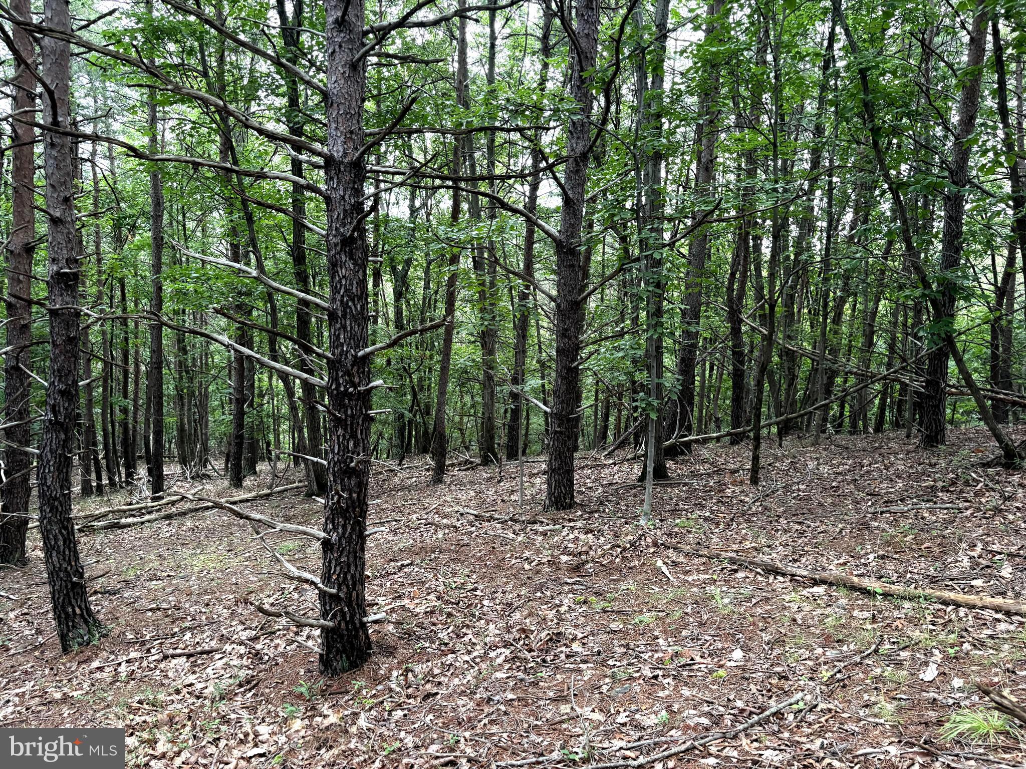 BLUFFS OF THE POTOMAC - Land
