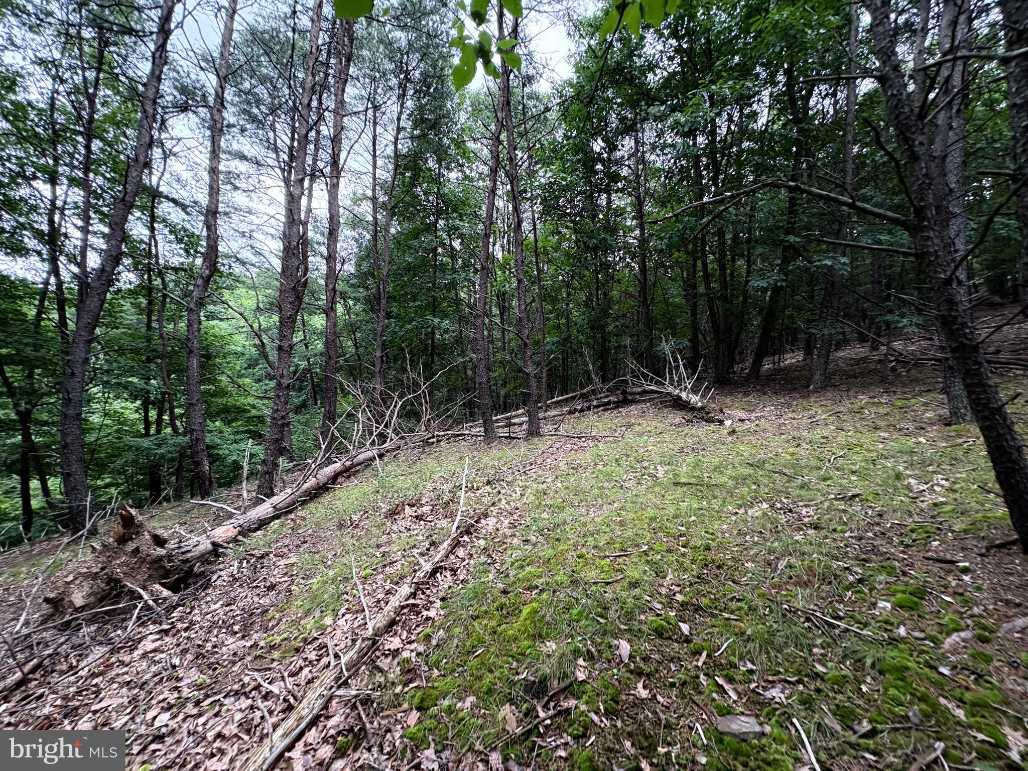 BLUFFS OF THE POTOMAC - Land