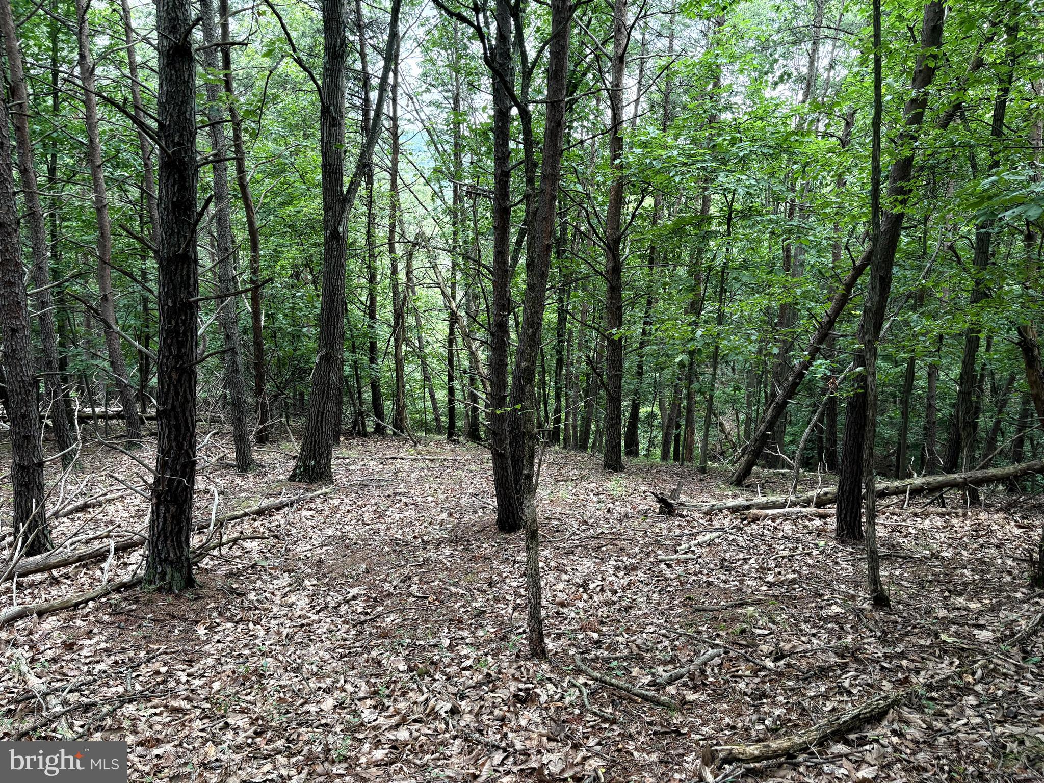BLUFFS OF THE POTOMAC - Land