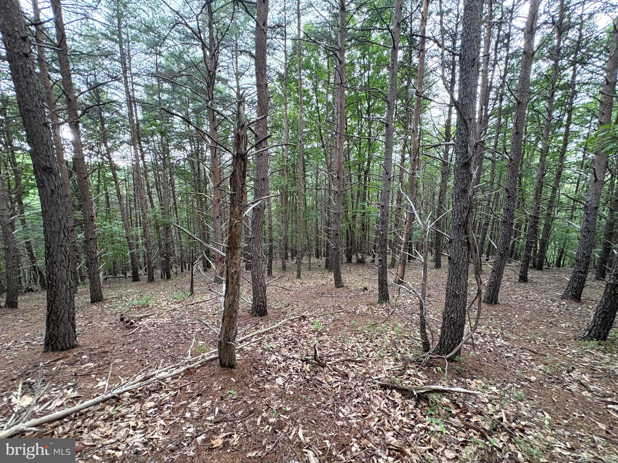 BLUFFS OF THE POTOMAC - Land