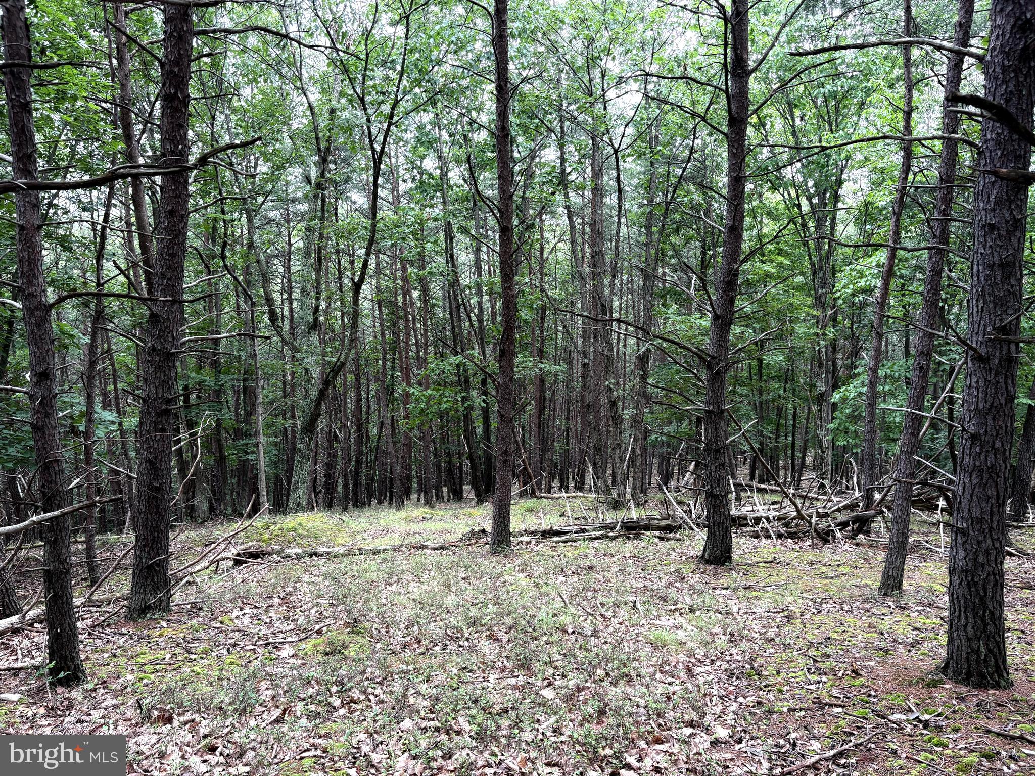 BLUFFS OF THE POTOMAC - Land