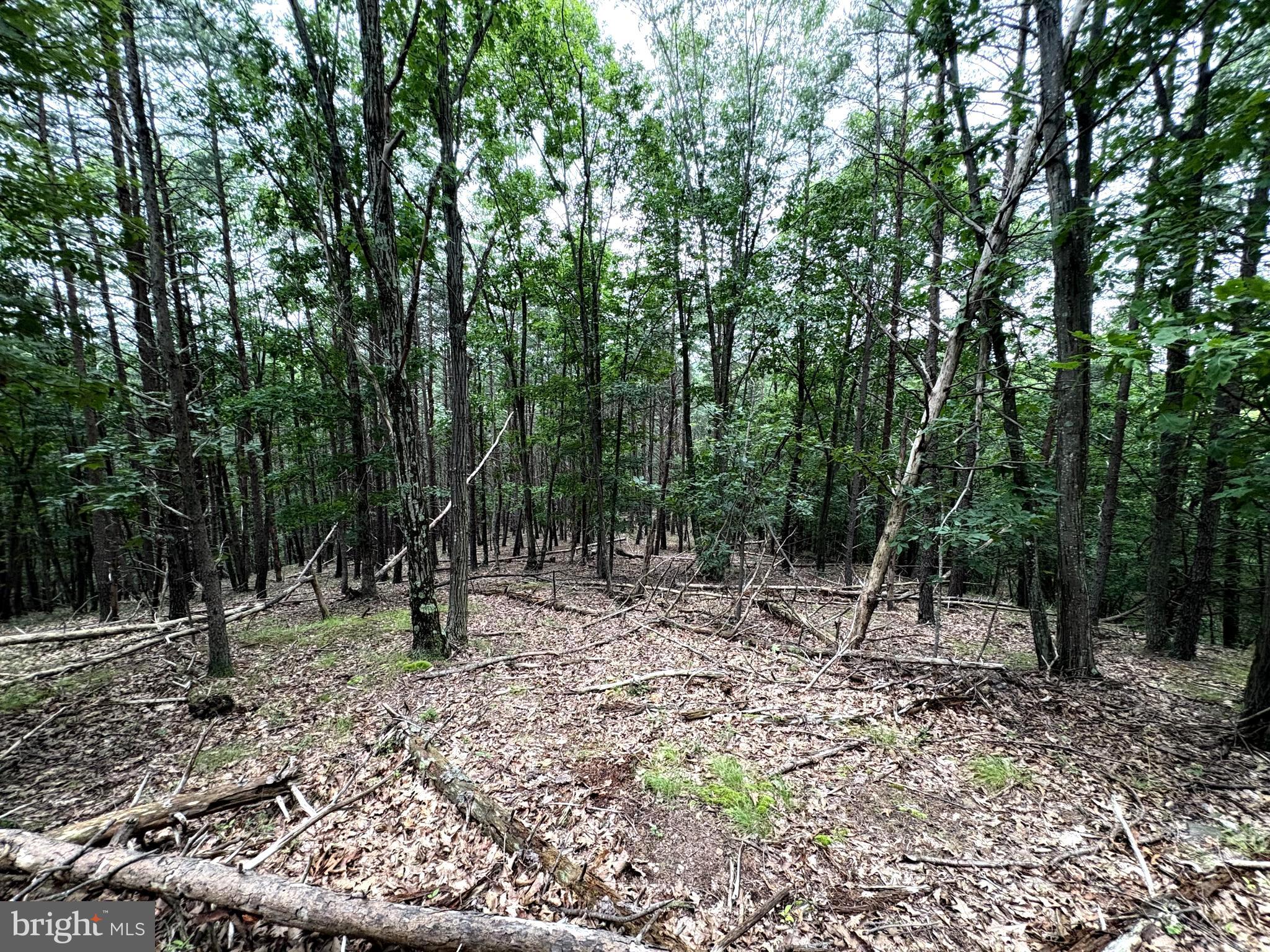 BLUFFS OF THE POTOMAC - Land