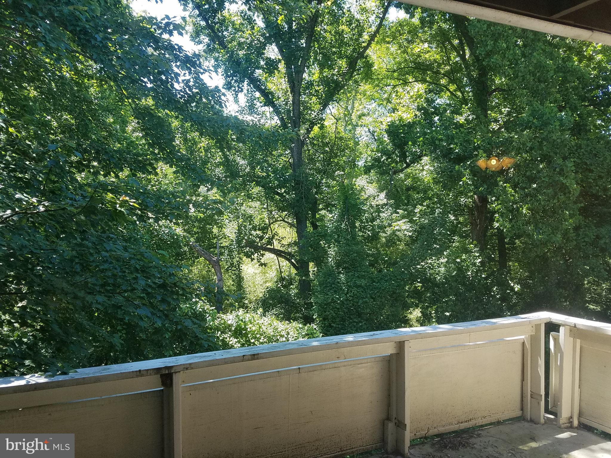 WILSON BRIDGE - Residential Lease