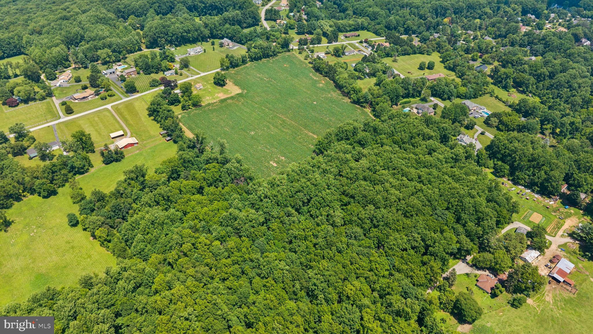 KINGSVILLE - Residential