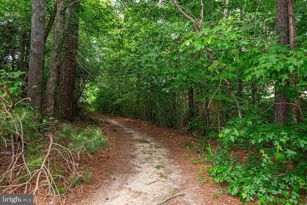 OCEAN PINES - THE PARKE - Residential