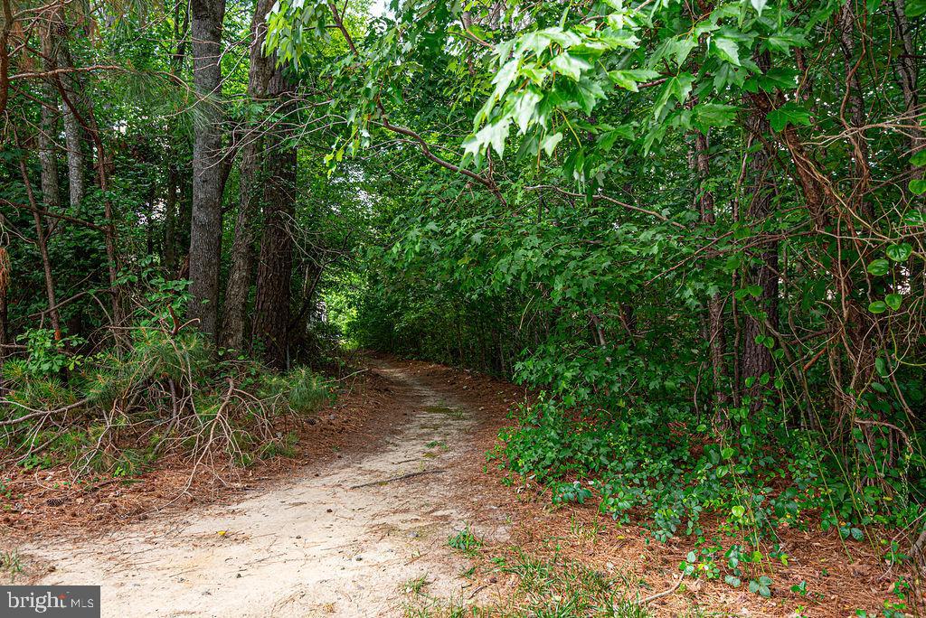 OCEAN PINES - THE PARKE - Residential