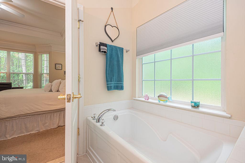 OCEAN PINES - THE PARKE - Residential